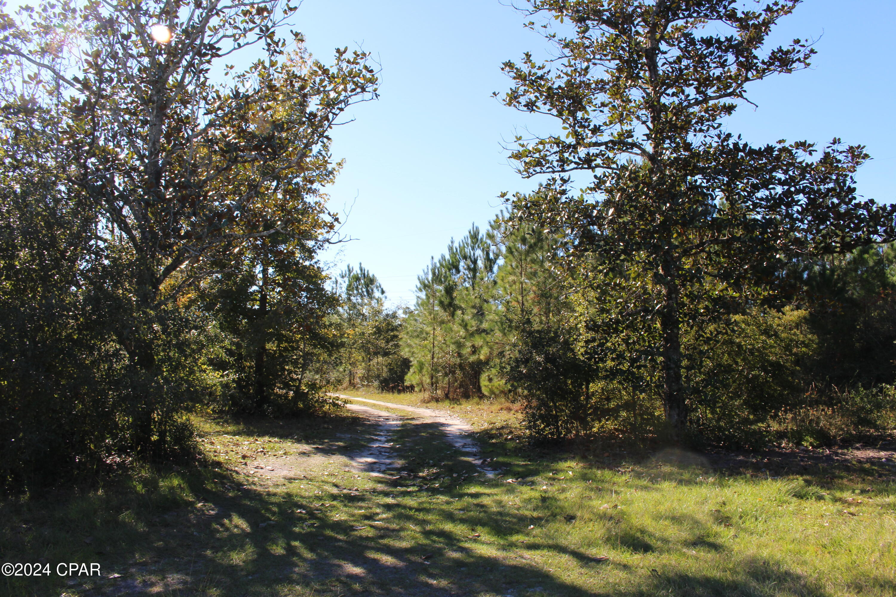 Image 11 For 1000 Lesne Road