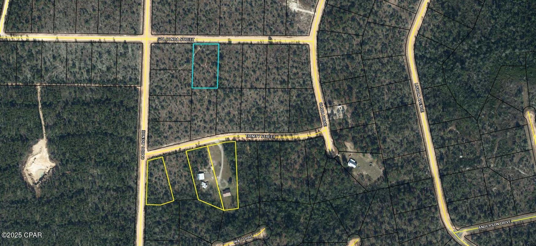 Lot #14 Blk #229 Golconda Street, Alford, Florida image 7