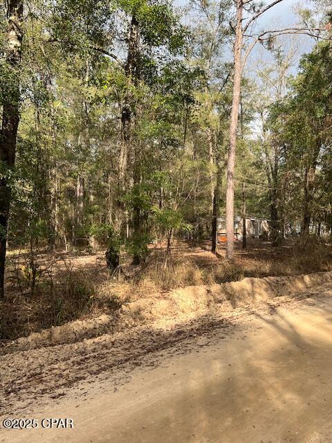 5270 Choctaw Road, Vernon, Florida image 7
