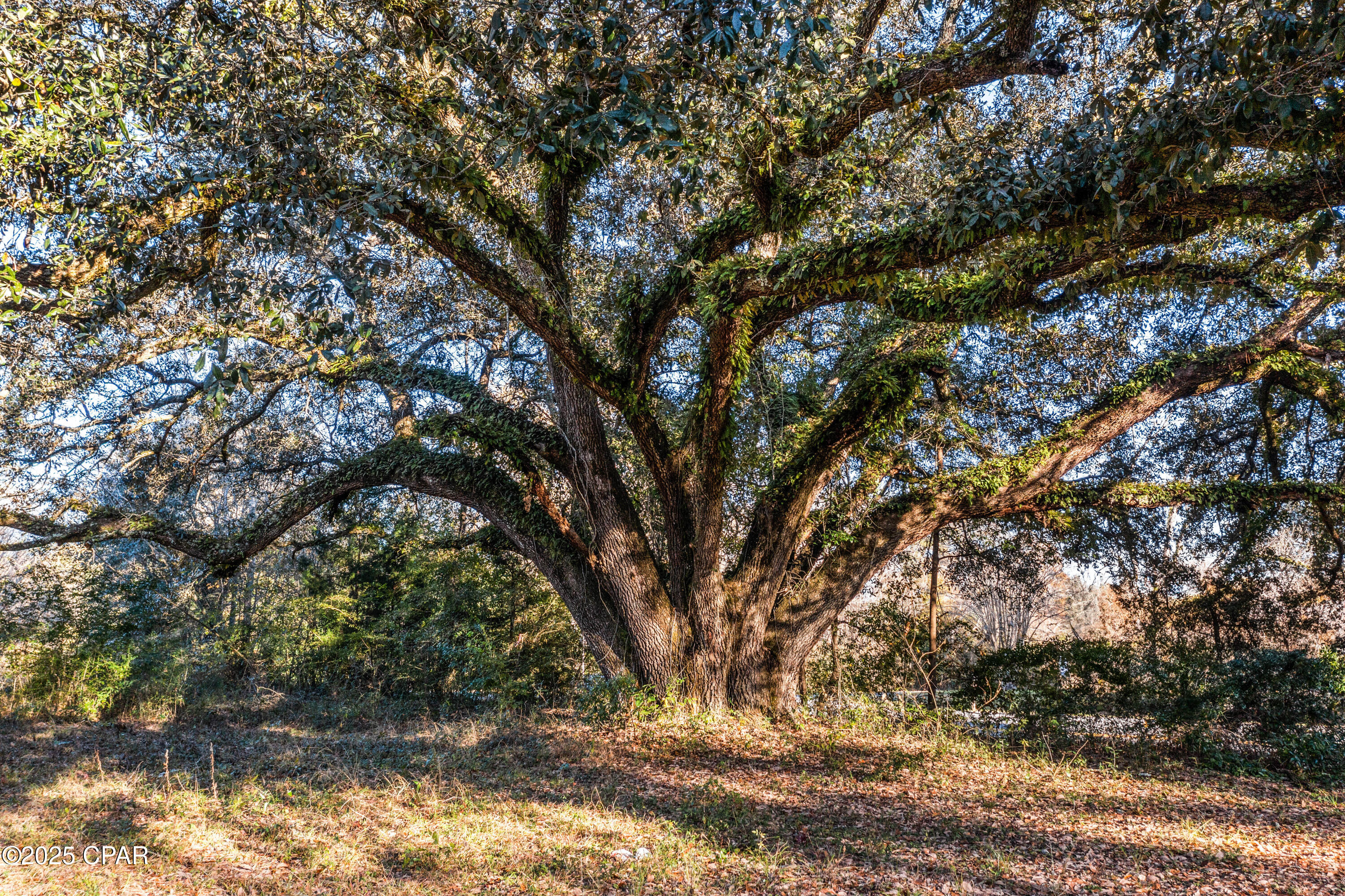 608 Highway 273 #273, Chipley, Florida image 8