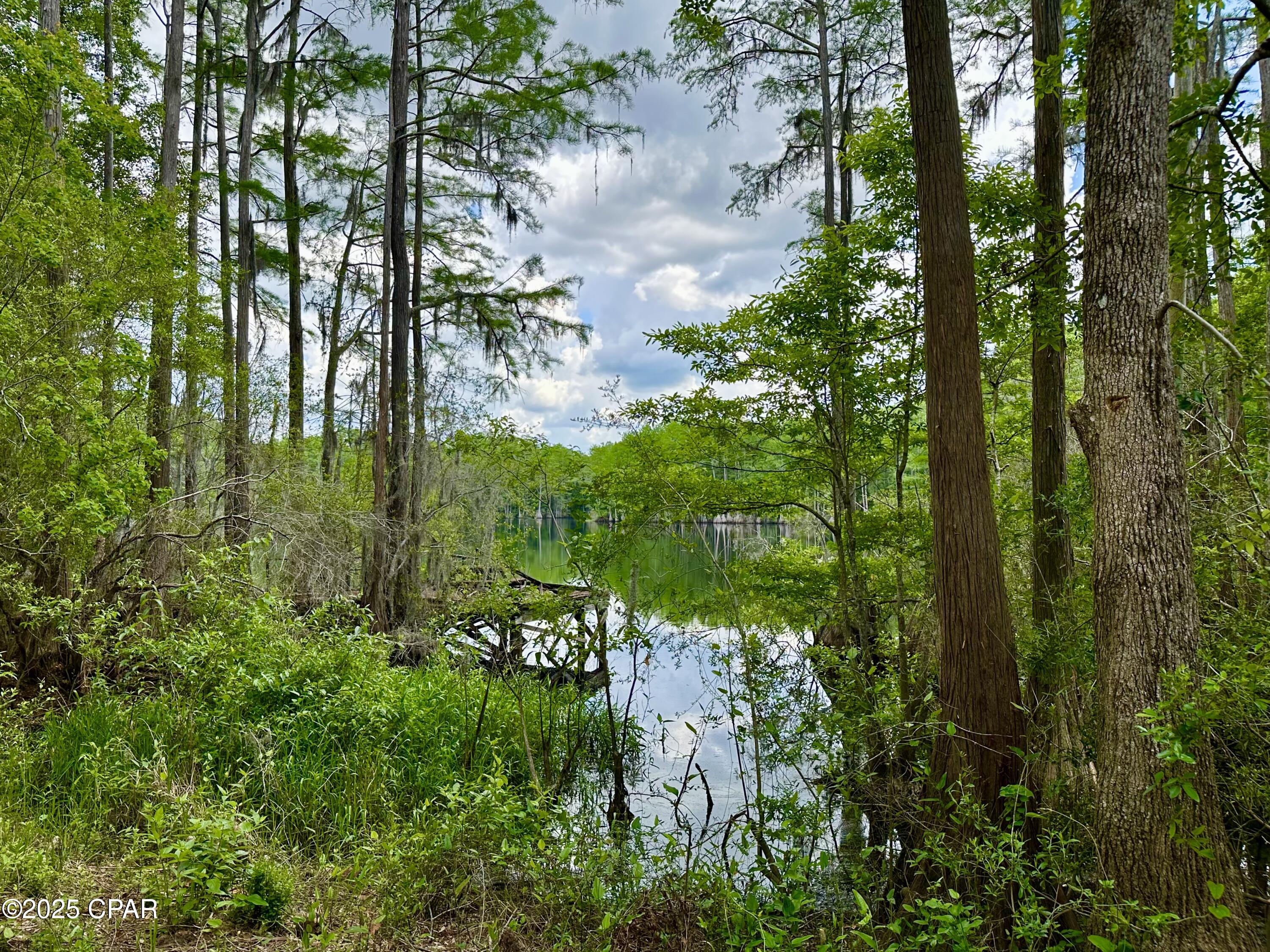 Details for 4661 Moss Hill Road, Chipley, FL 32428