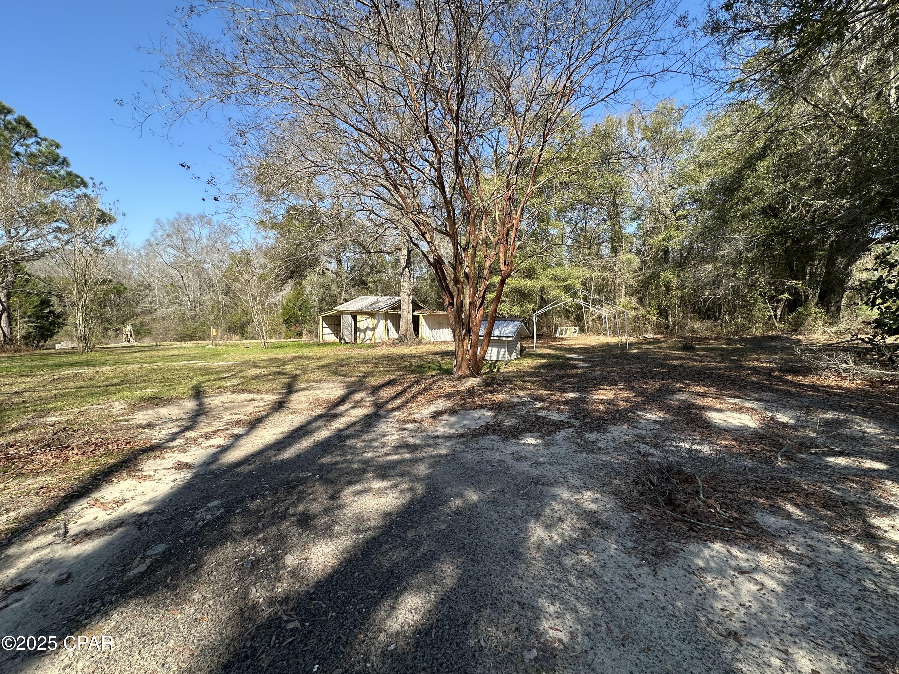 3459 Mccallister Lane, Graceville, Florida image 41