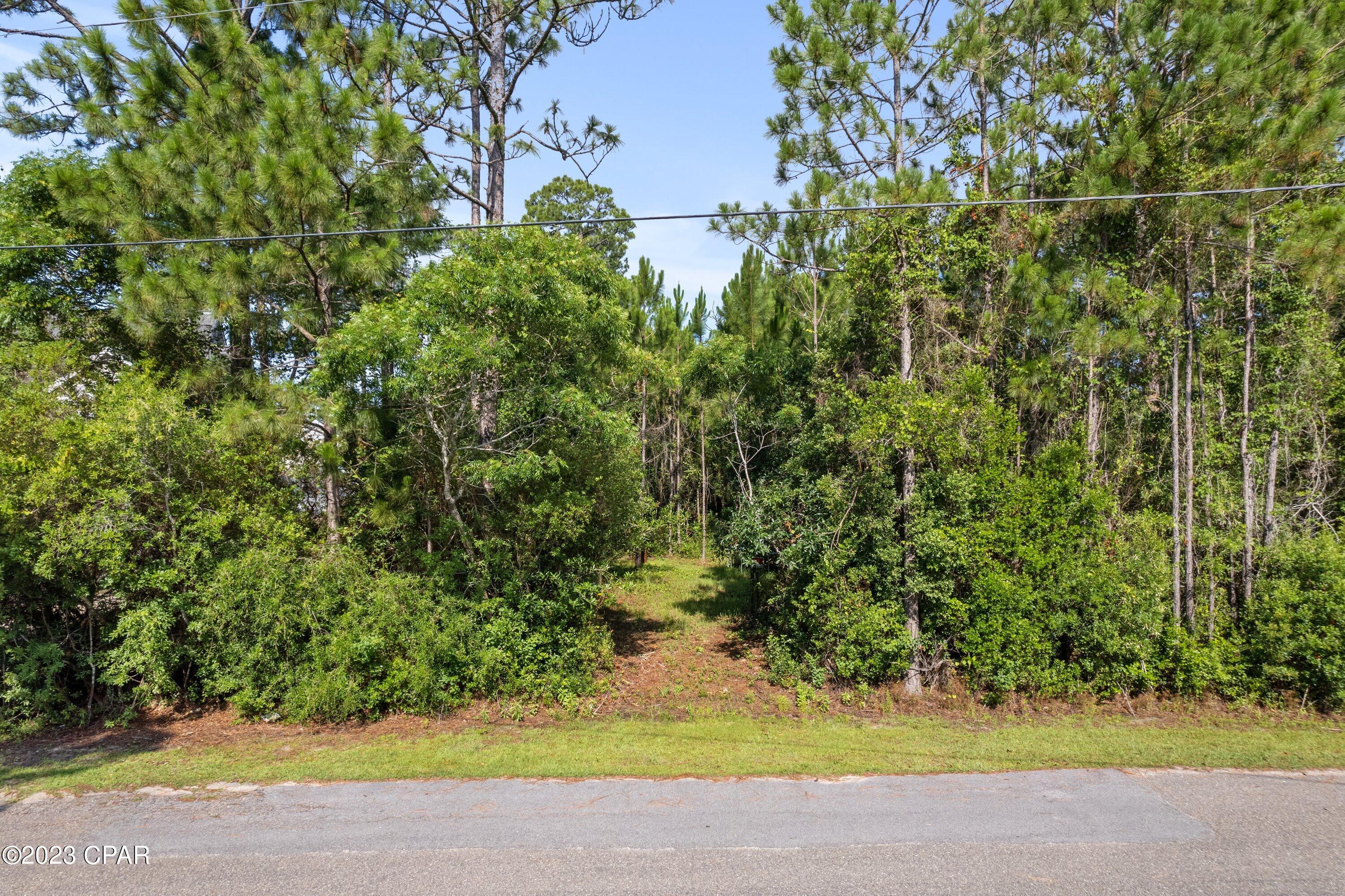 Lot 6 Pisces Drive, Santa Rosa Beach, Florida image 1