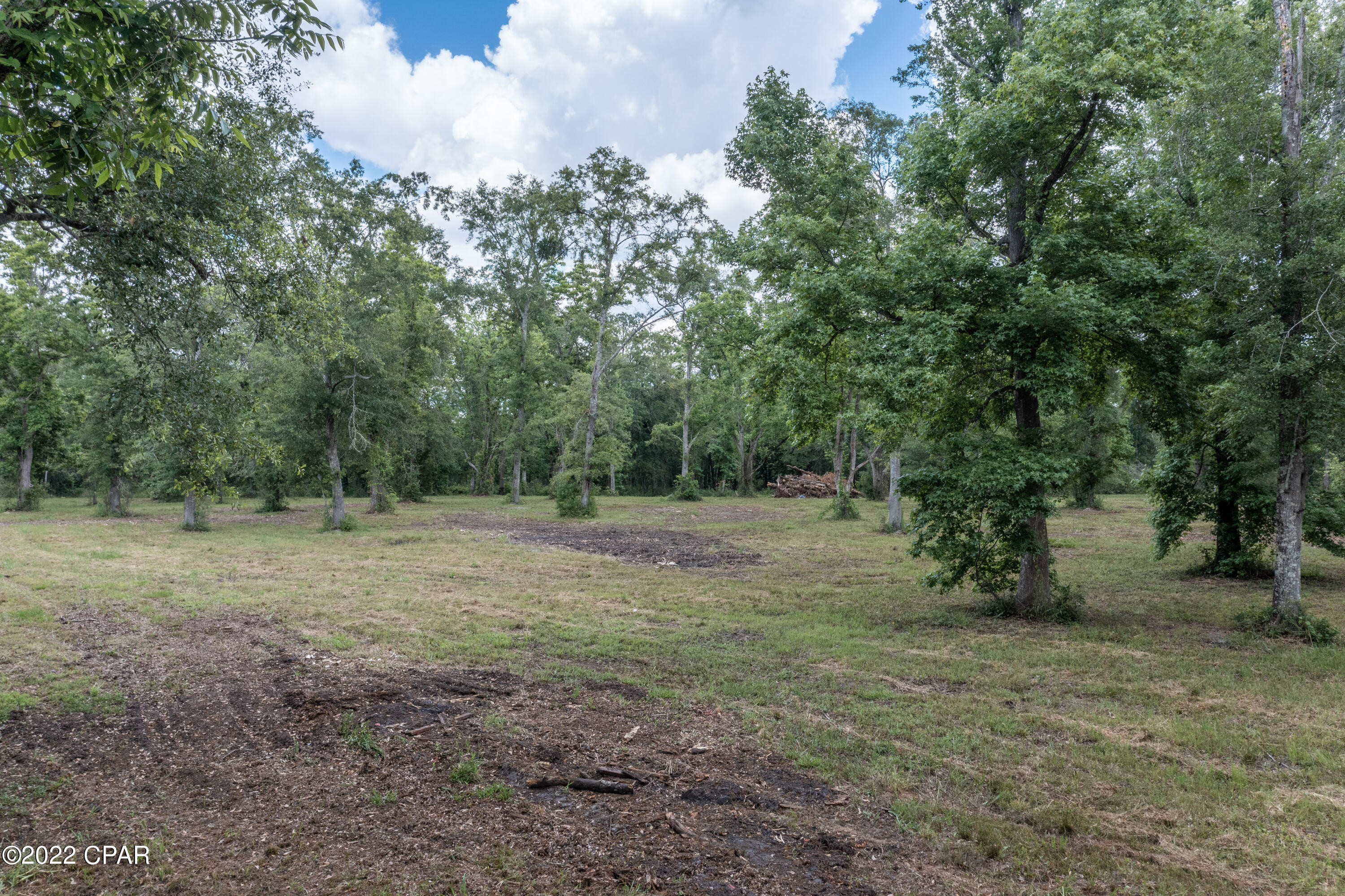 000 Plum Avenue, Chipley, Florida image 10