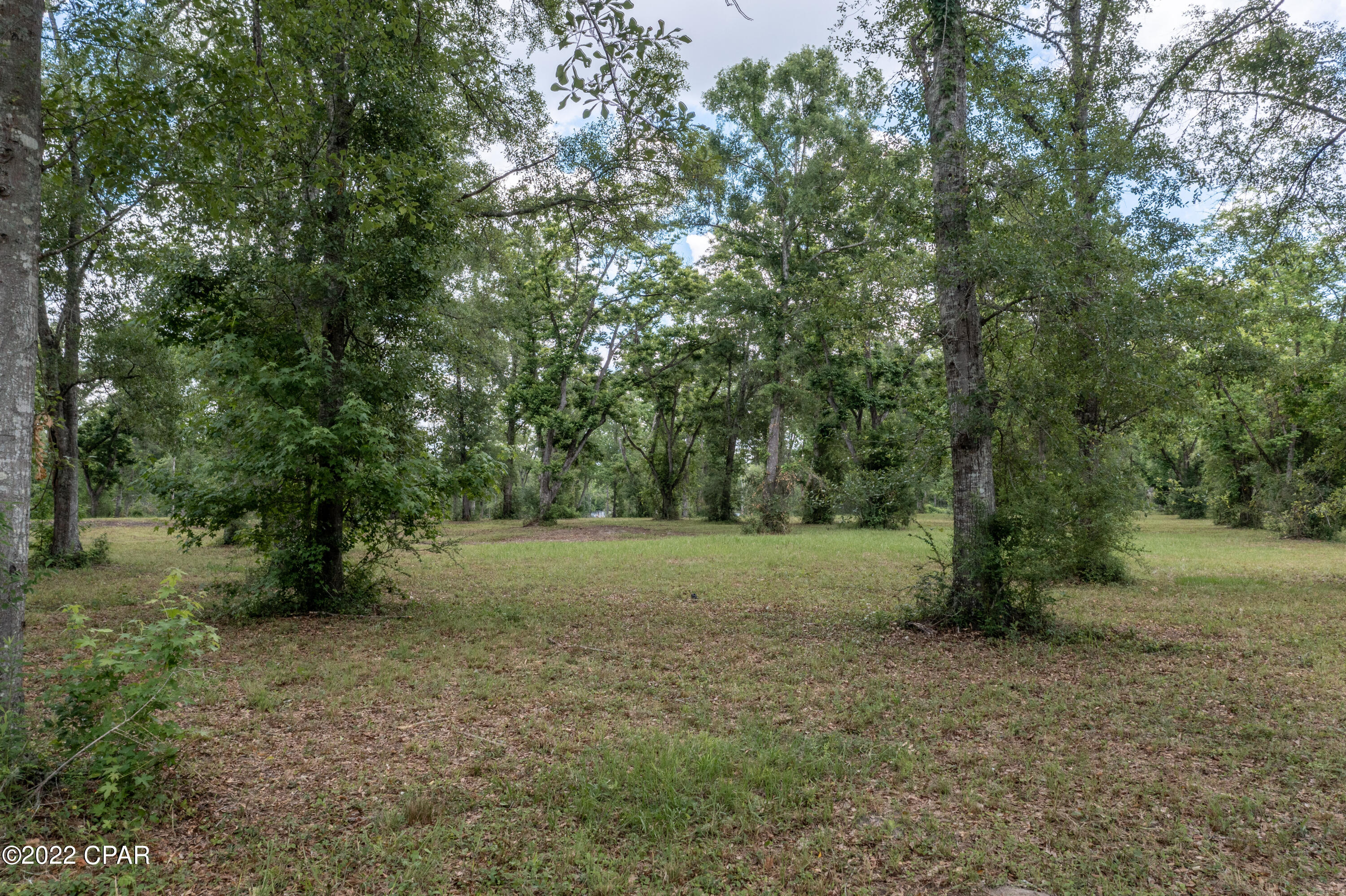 000 Plum Avenue, Chipley, Florida image 11