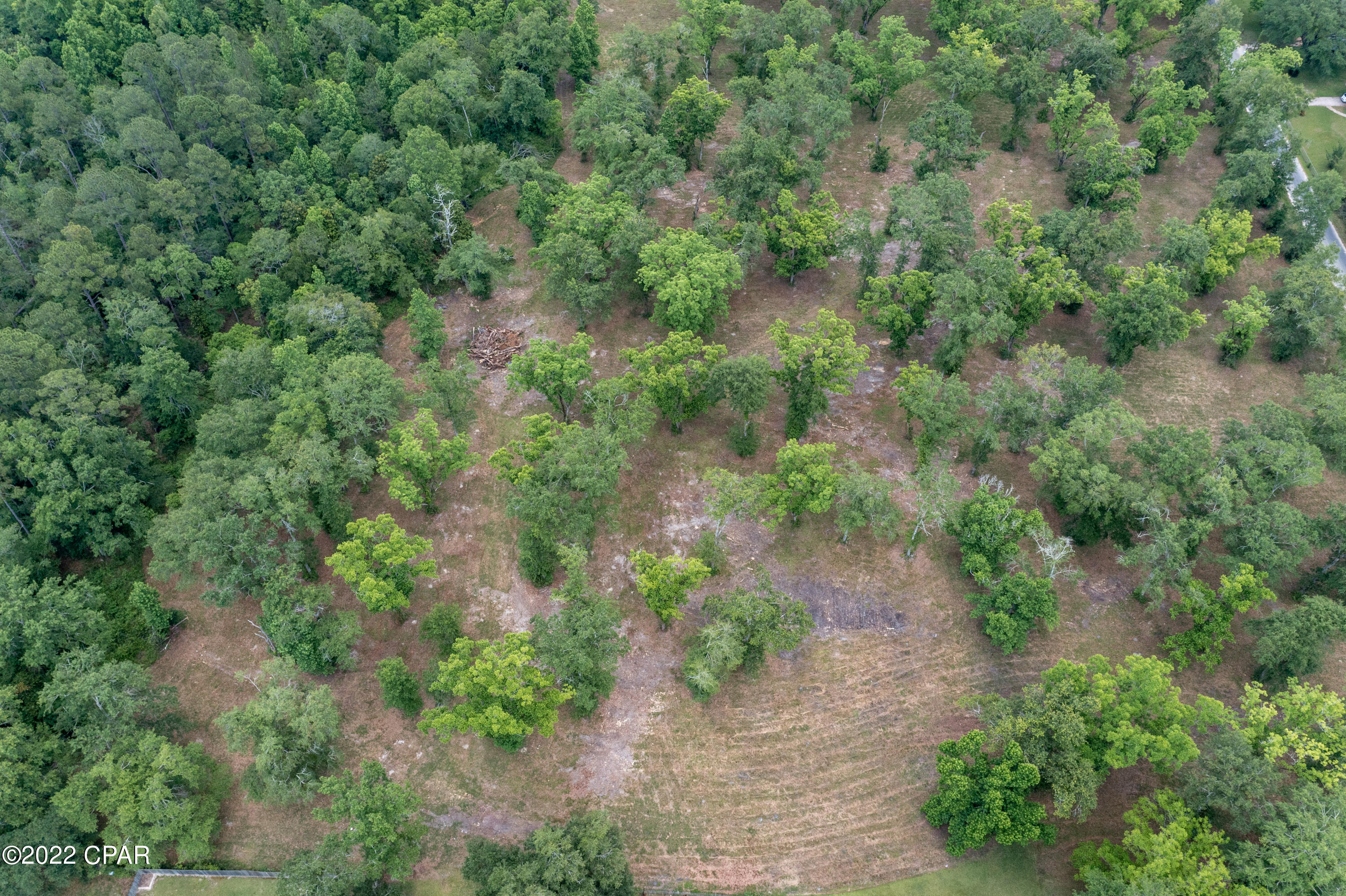 000 Plum Avenue, Chipley, Florida image 8