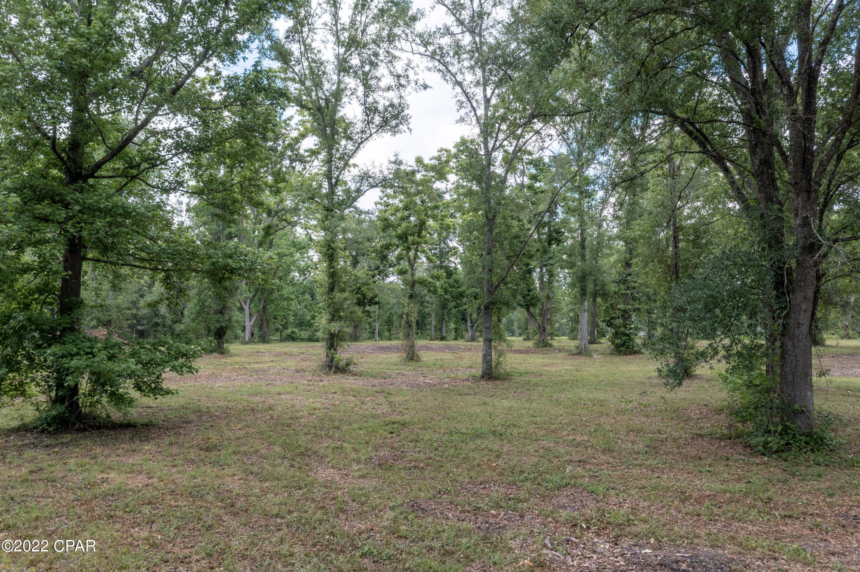 000 Plum Avenue, Chipley, Florida image 9