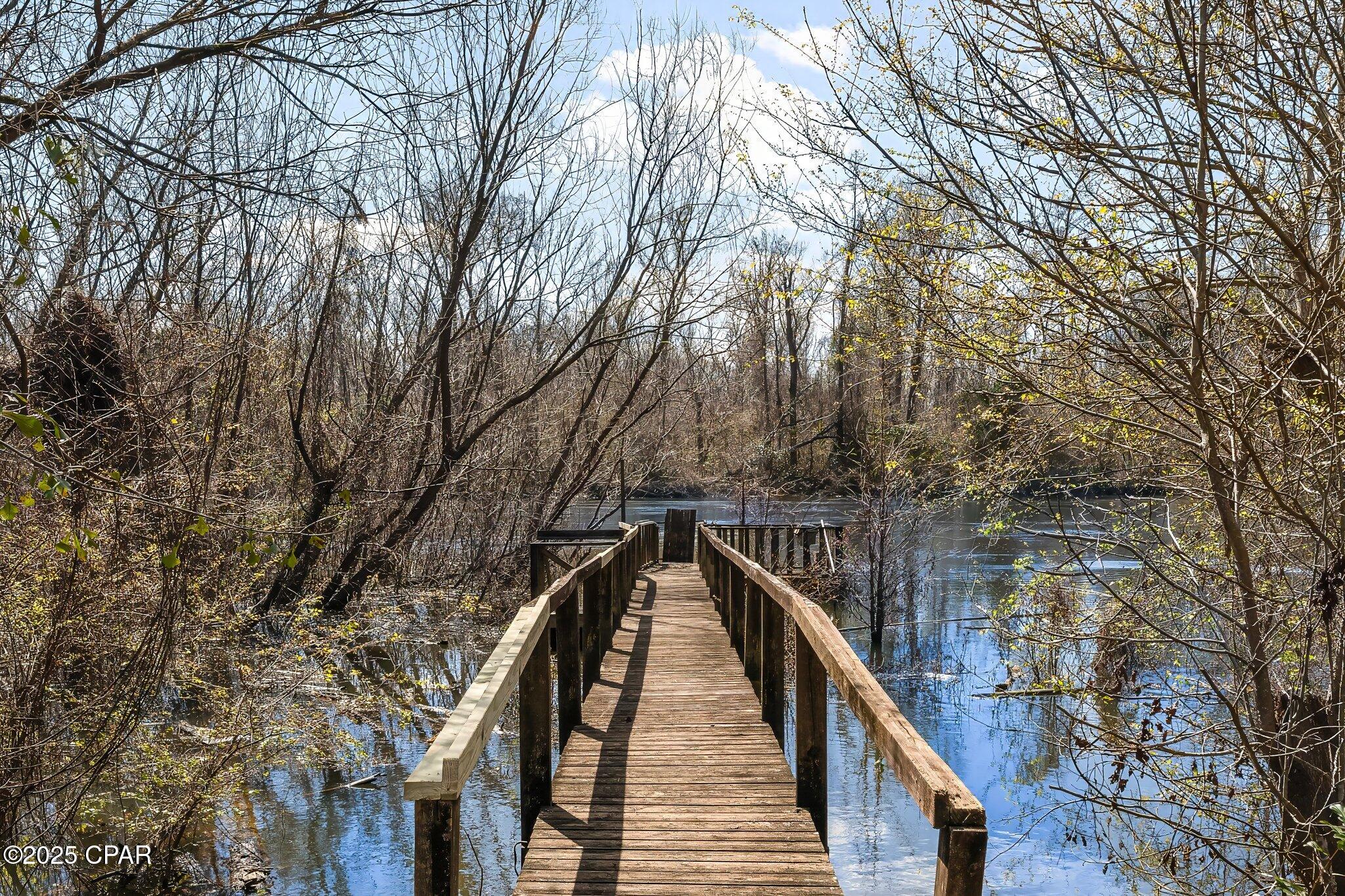 157 Goodwin Street, Wewahitchka, Florida image 3