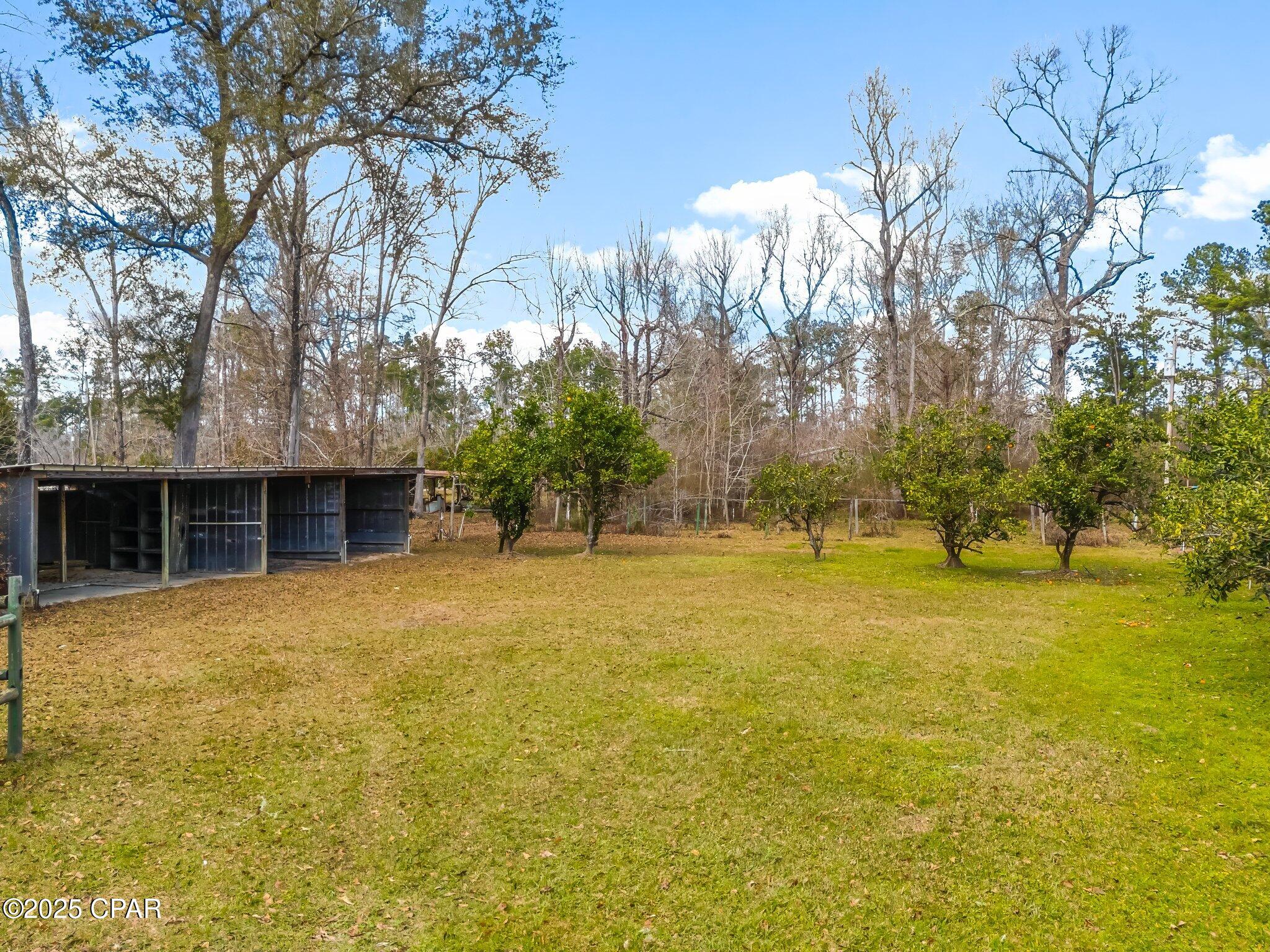157 Goodwin Street, Wewahitchka, Florida image 49
