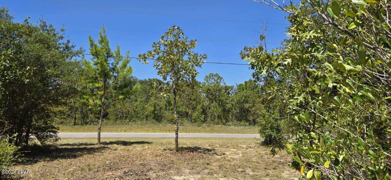 Lot 31 Aldoro Circle, Chipley, Florida image 12