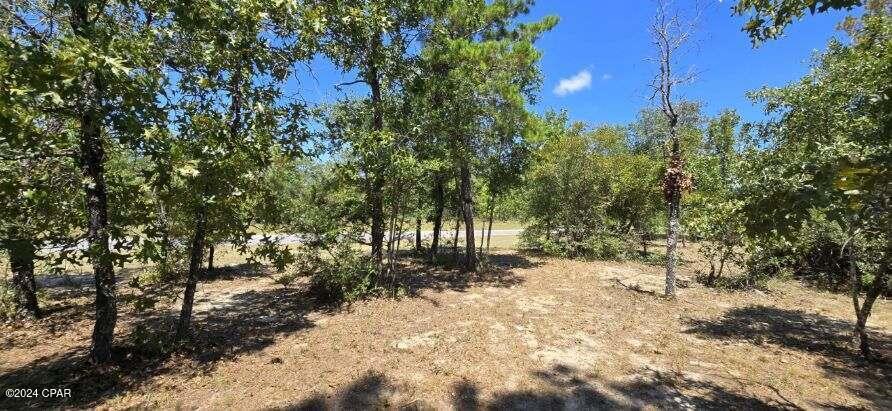 Lot 31 Aldoro Circle, Chipley, Florida image 13