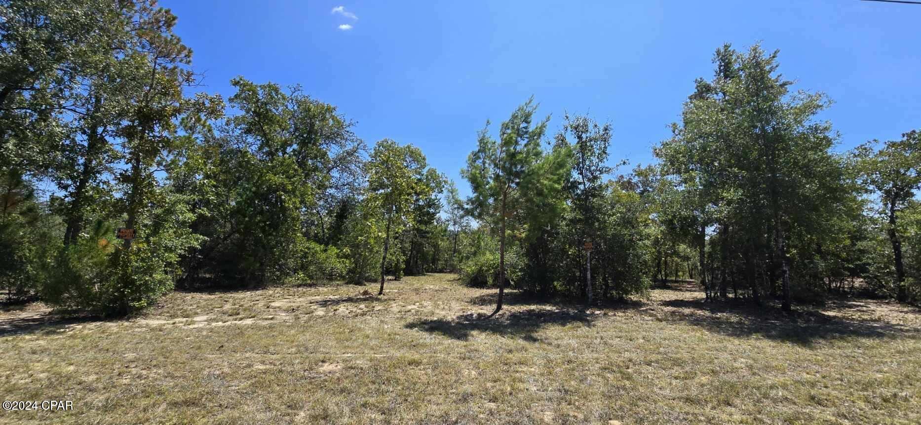 Lot 31 Aldoro Circle, Chipley, Florida image 14