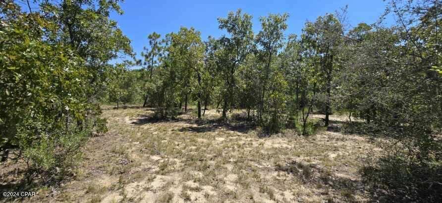 Lot 31 Aldoro Circle, Chipley, Florida image 16