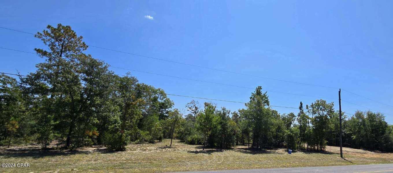 Lot 31 Aldoro Circle, Chipley, Florida image 17