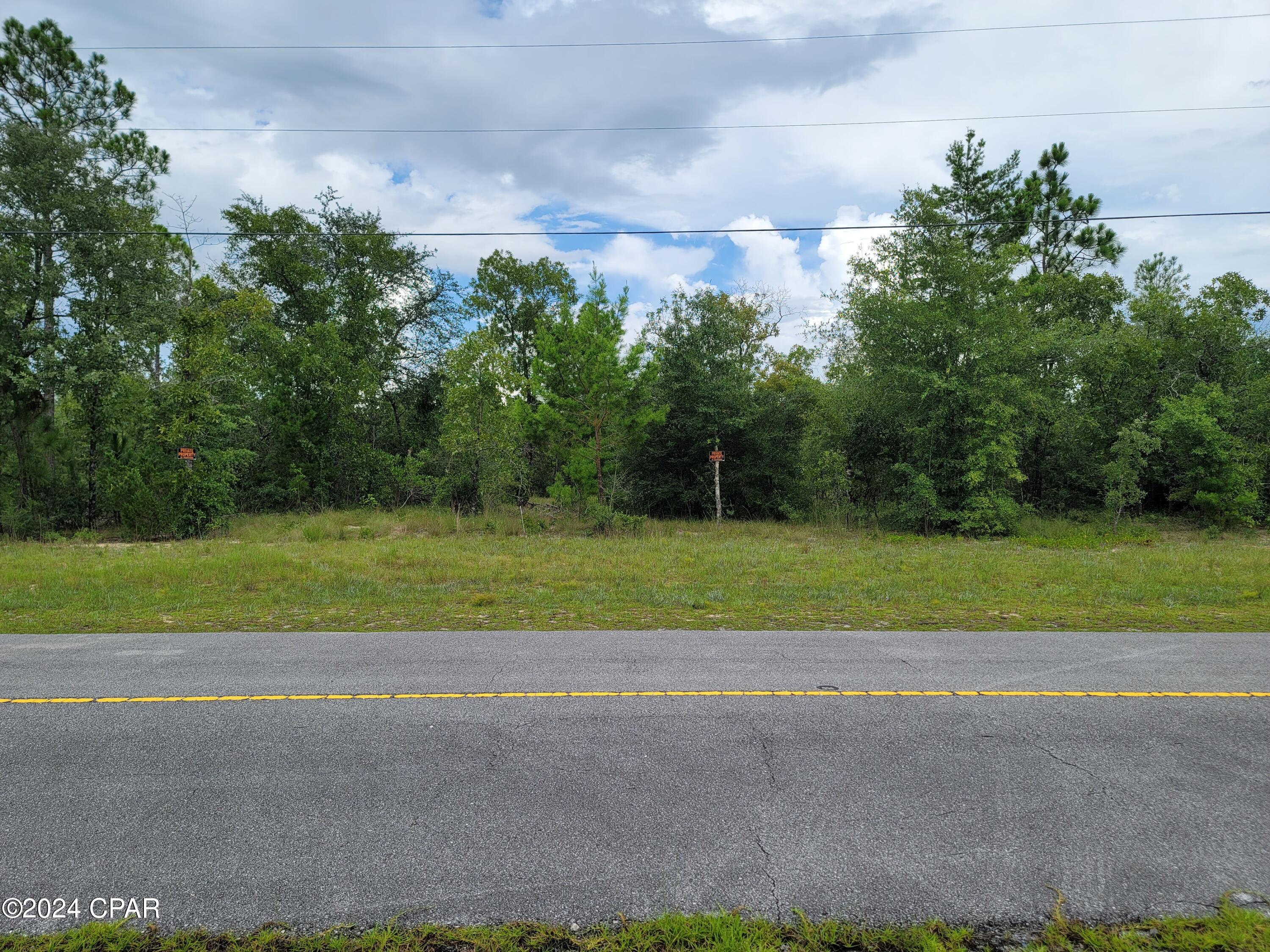 Lot 31 Aldoro Circle, Chipley, Florida image 3