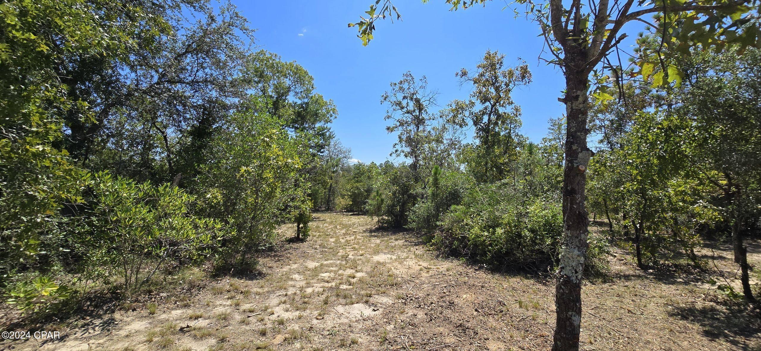 Lot 31 Aldoro Circle, Chipley, Florida image 6