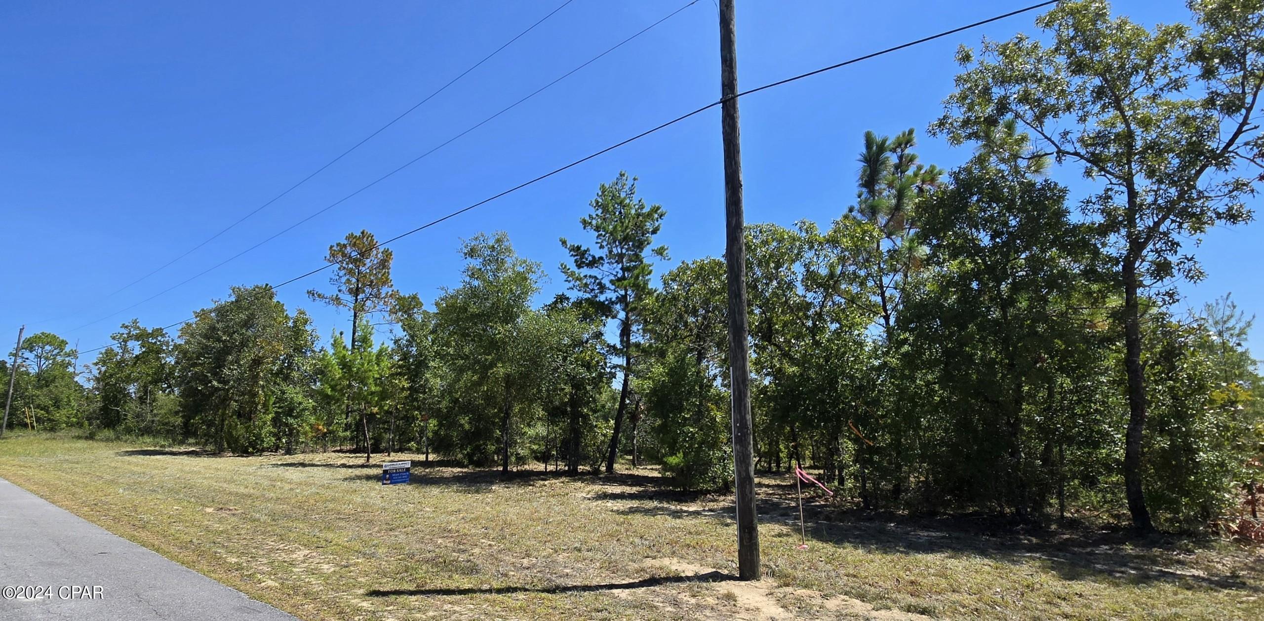 Lot 31 Aldoro Circle, Chipley, Florida image 7