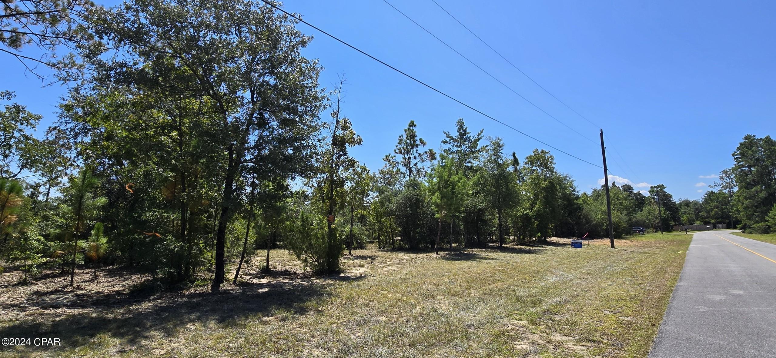 Lot 31 Aldoro Circle, Chipley, Florida image 8