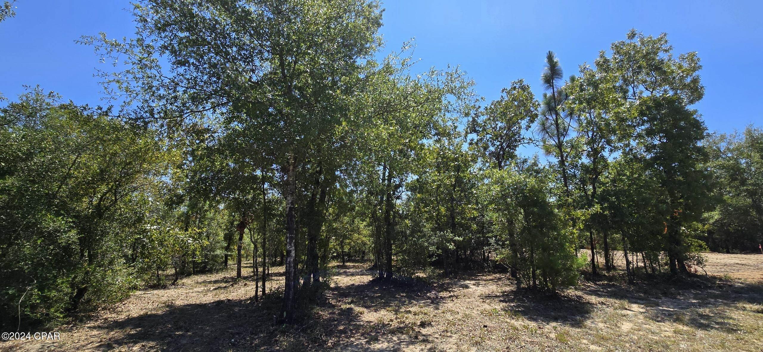 Lot 31 Aldoro Circle, Chipley, Florida image 9