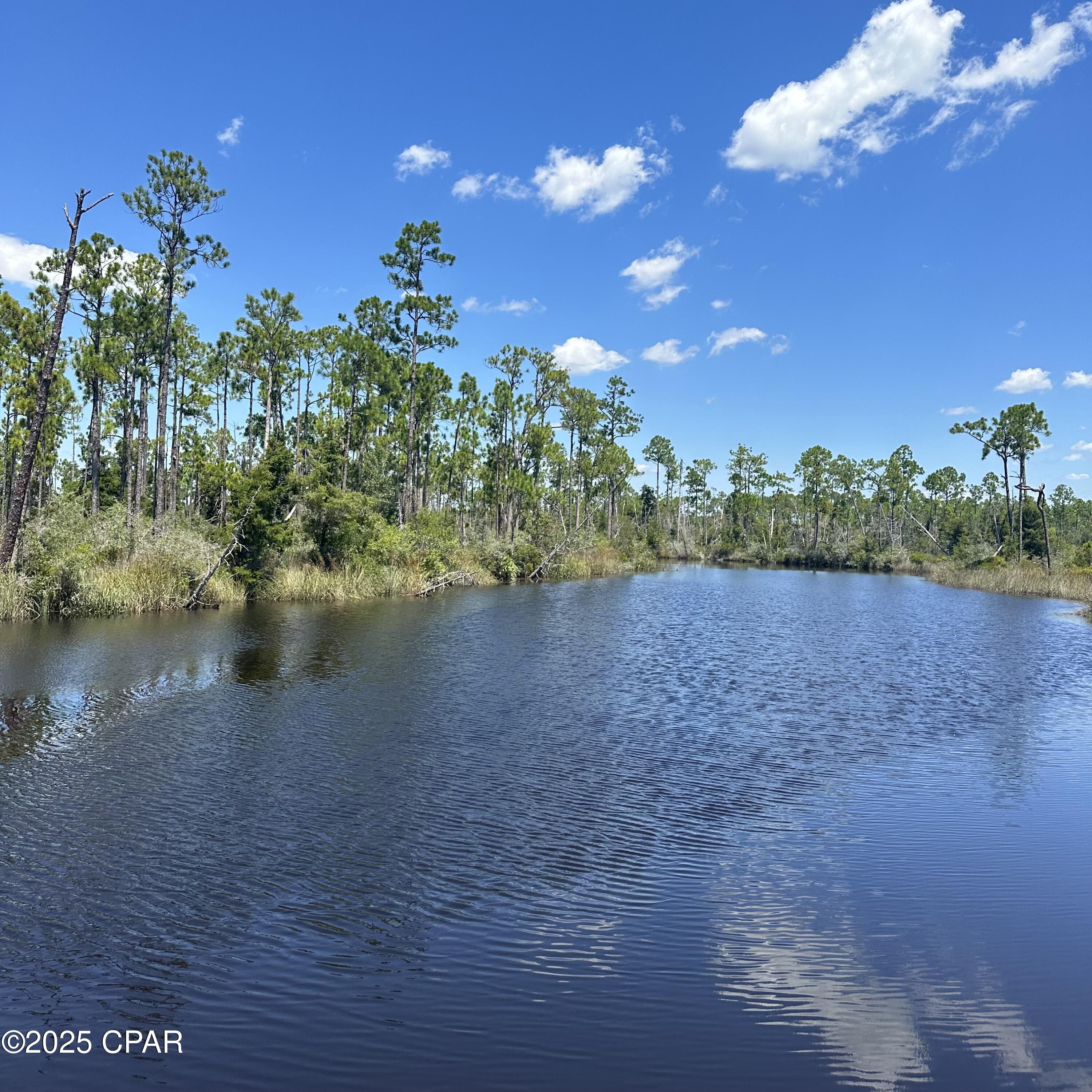 9641 N County Road 386, Wewahitchka, Florida image 4
