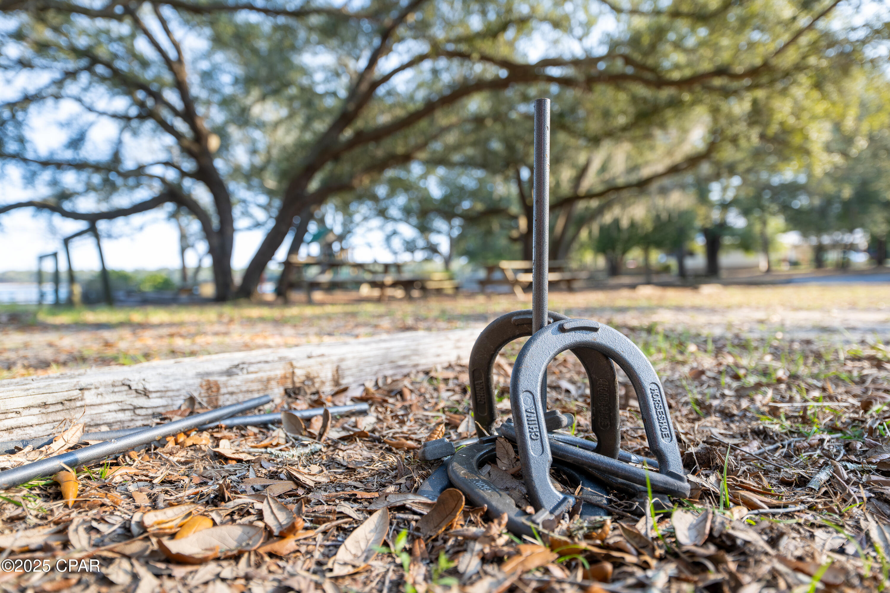 Derby Drive, Chipley, Florida image 19