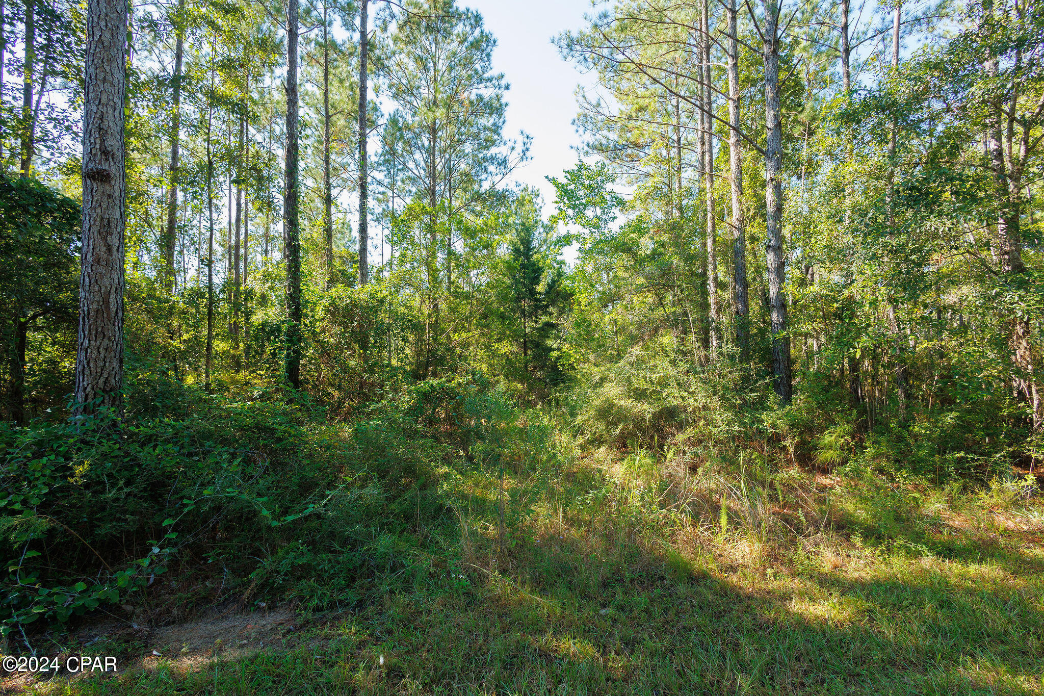 Joe Cambpell Road, Freeport, Florida image 10