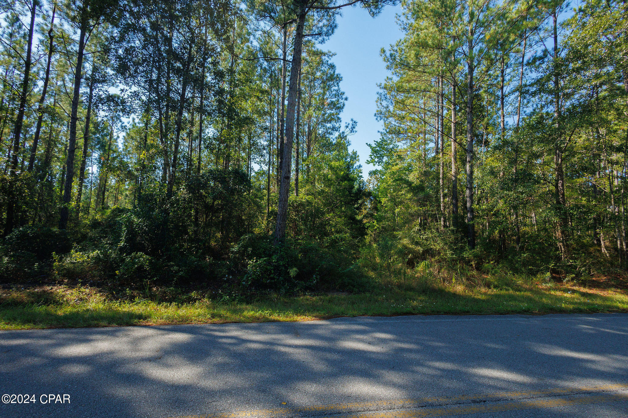 Joe Cambpell Road, Freeport, Florida image 12