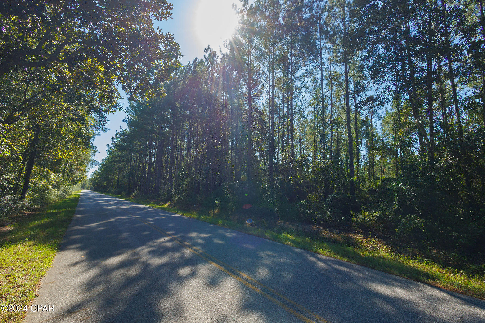 Joe Cambpell Road, Freeport, Florida image 7