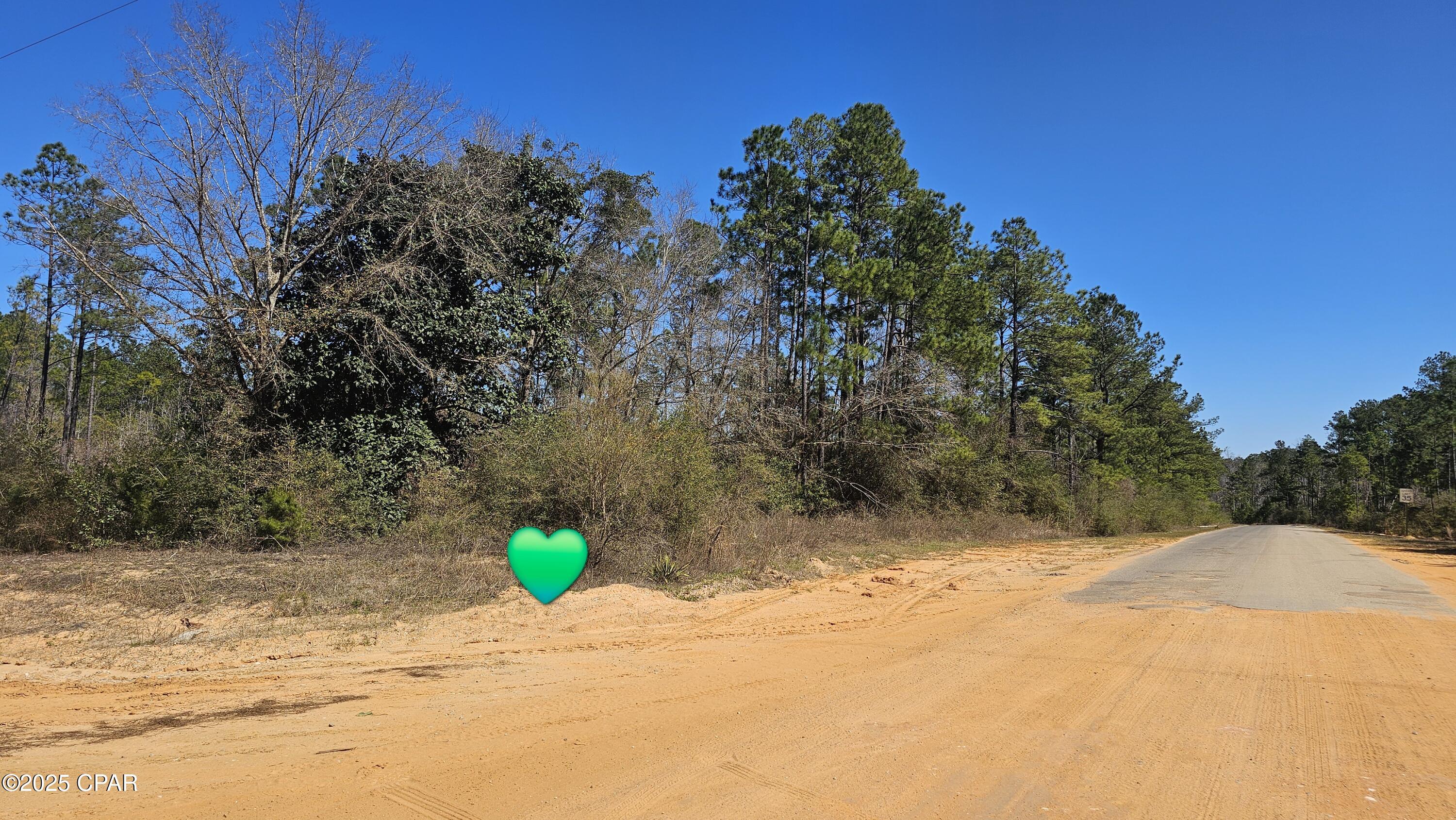 Lot 16-17 Hartford-rufus Boulevard, Chipley, Florida image 3