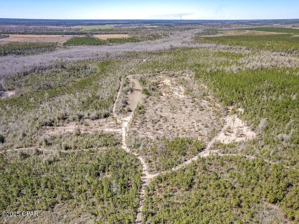 Image 23 For Tbd Sr 71  