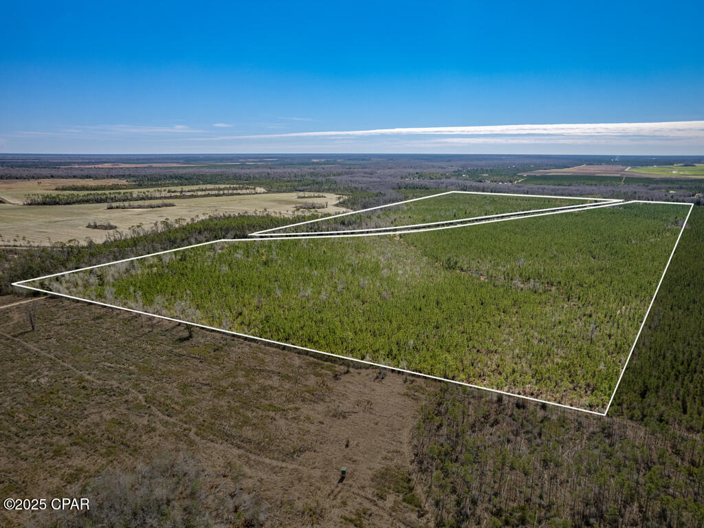 Image 38 For Tbd Sr 71  