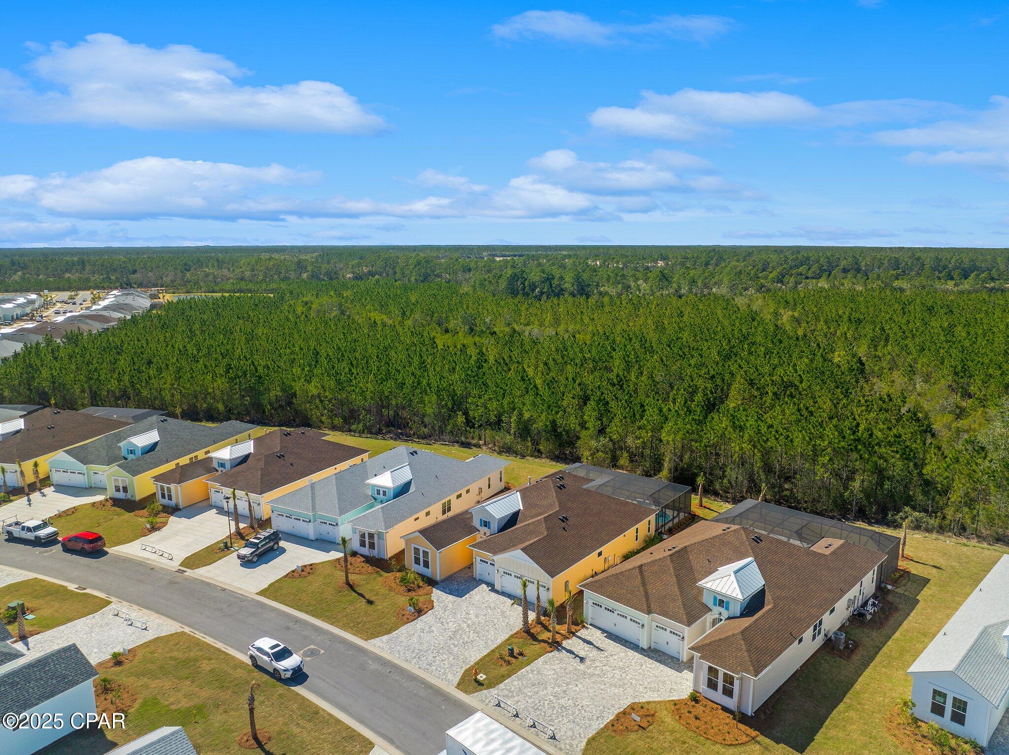 8925 Gypsy Palace Court, Panama City Beach, Florida image 45