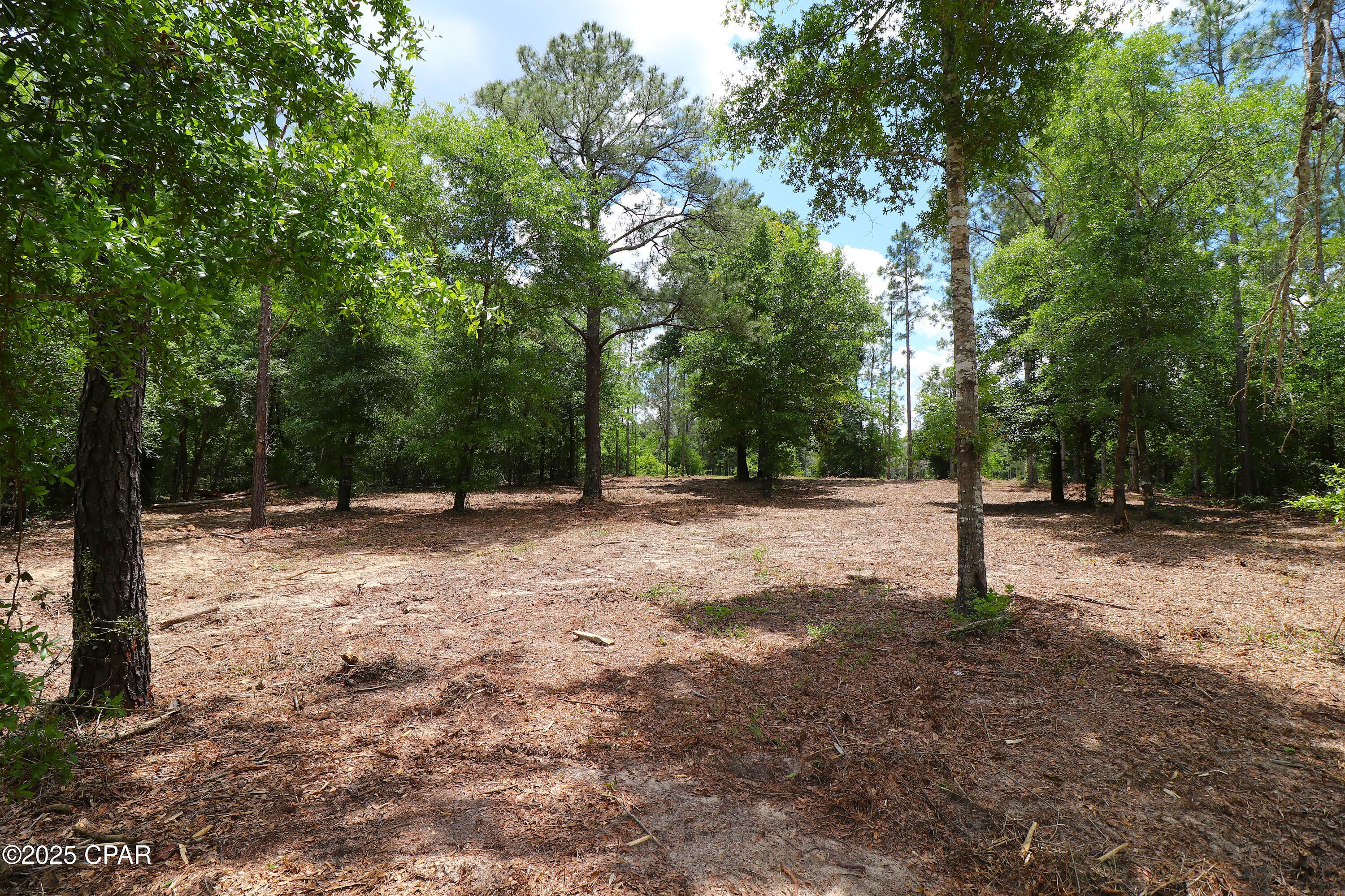 Lot 1 Flagler Drive, Chipley, Florida image 1