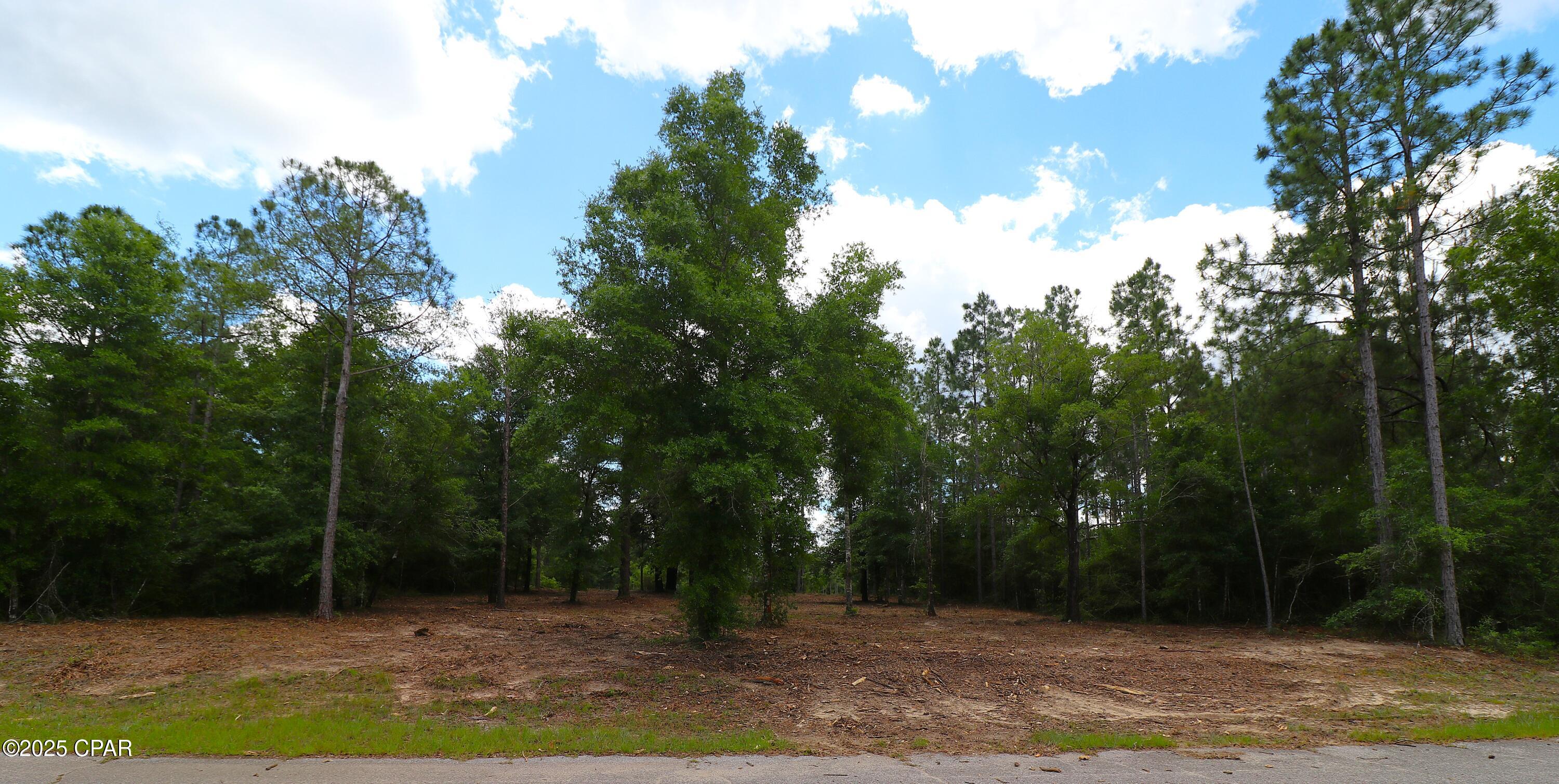 Lot 1 Flagler Drive, Chipley, Florida image 10