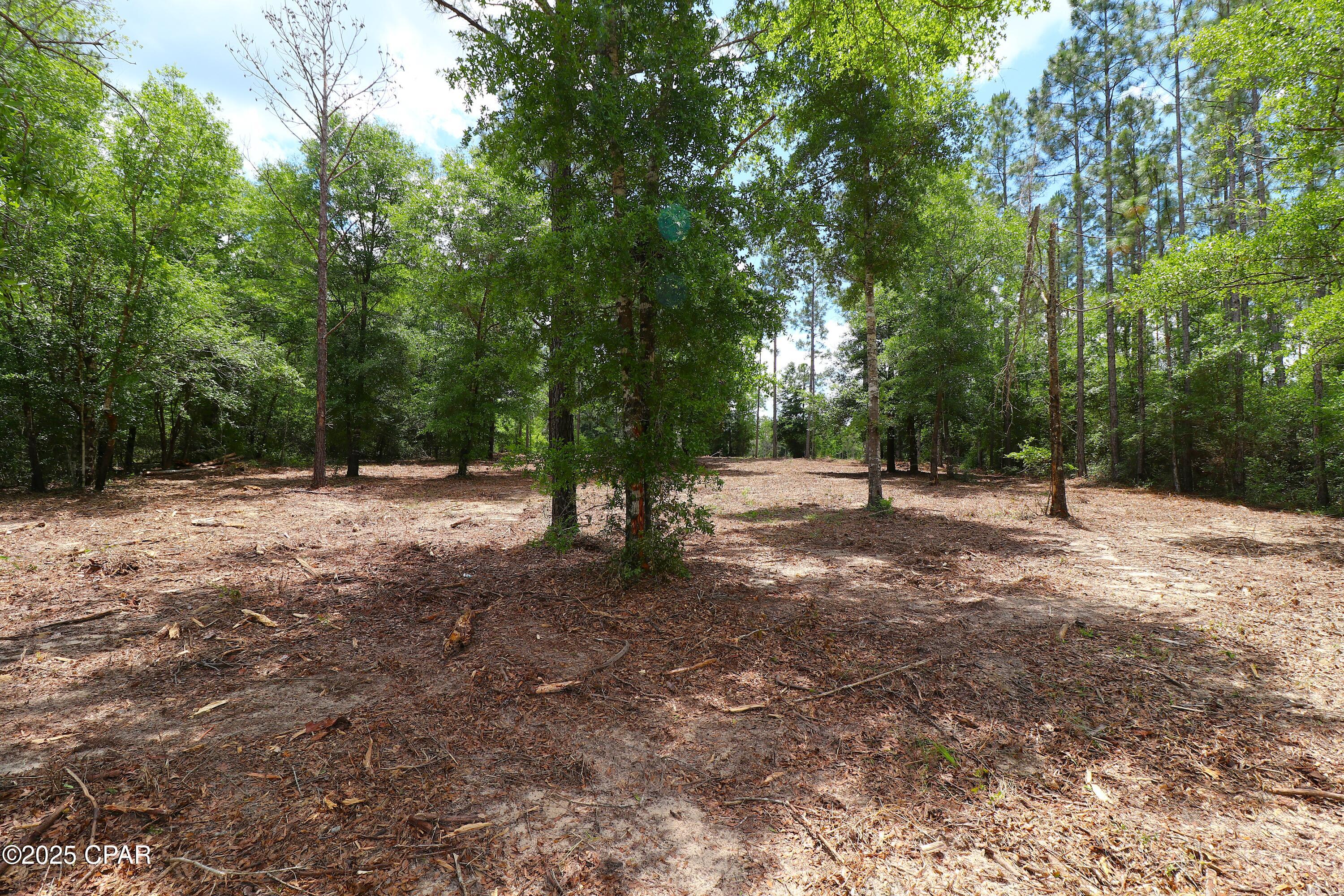 Lot 1 Flagler Drive, Chipley, Florida image 11