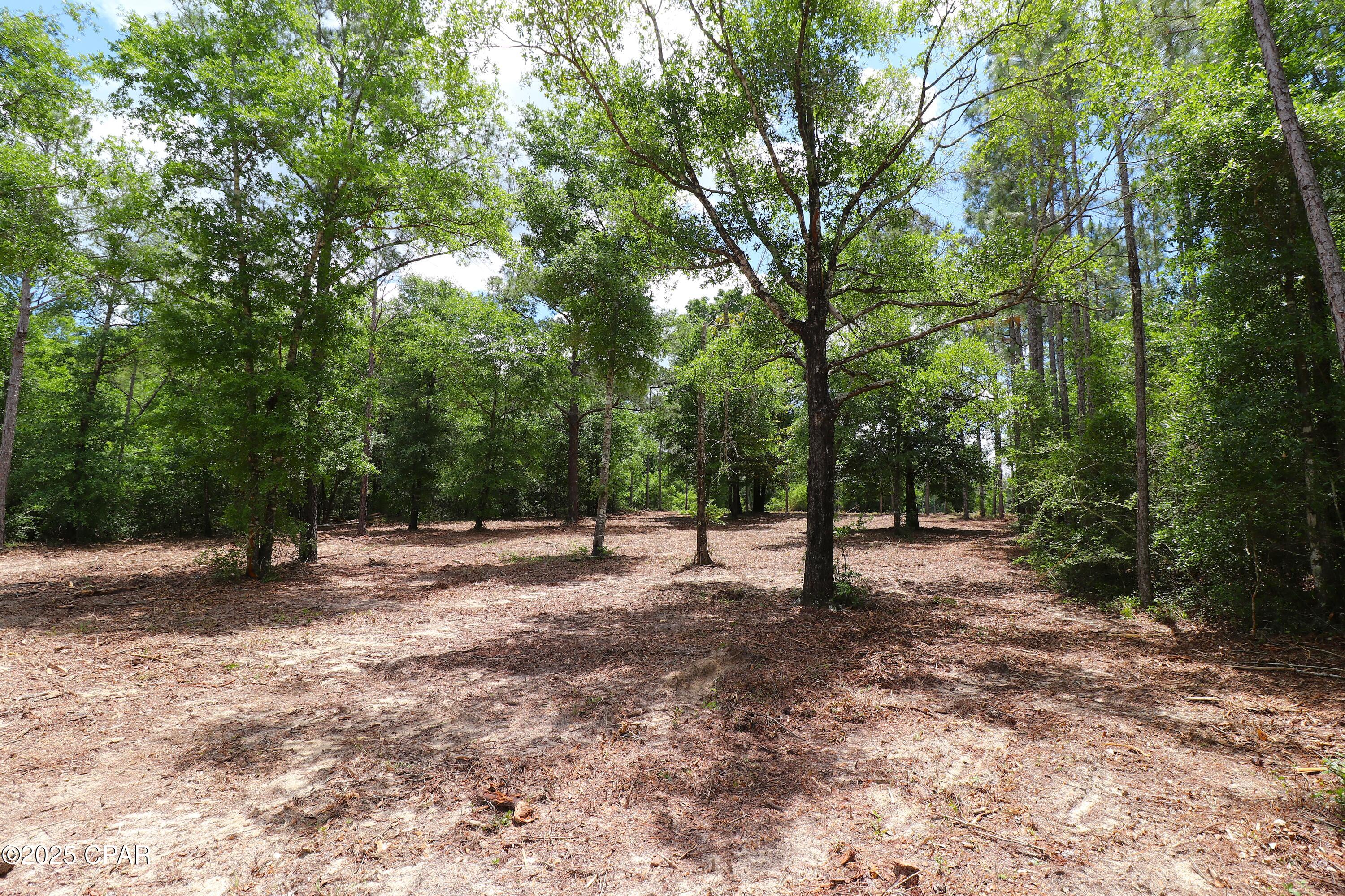 Lot 1 Flagler Drive, Chipley, Florida image 12