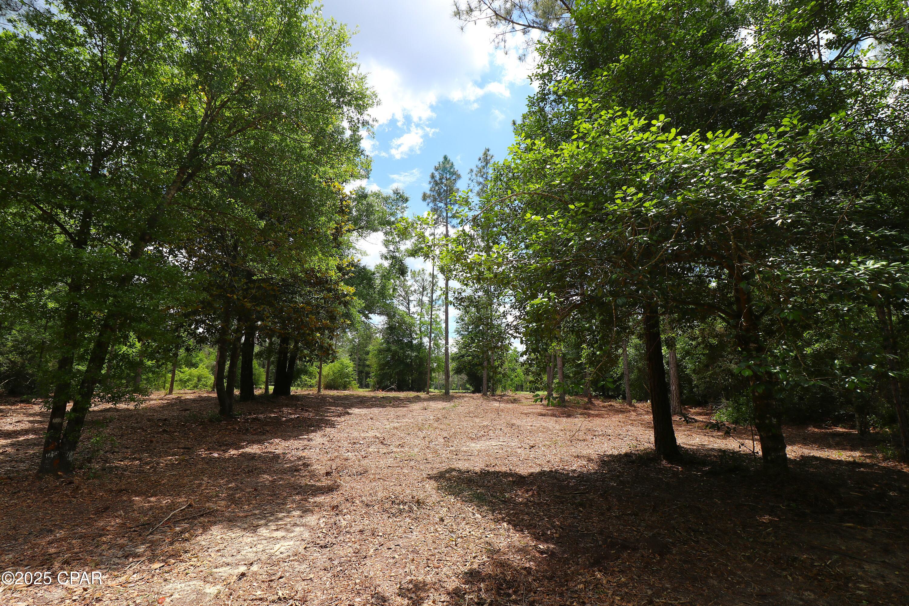 Lot 1 Flagler Drive, Chipley, Florida image 13