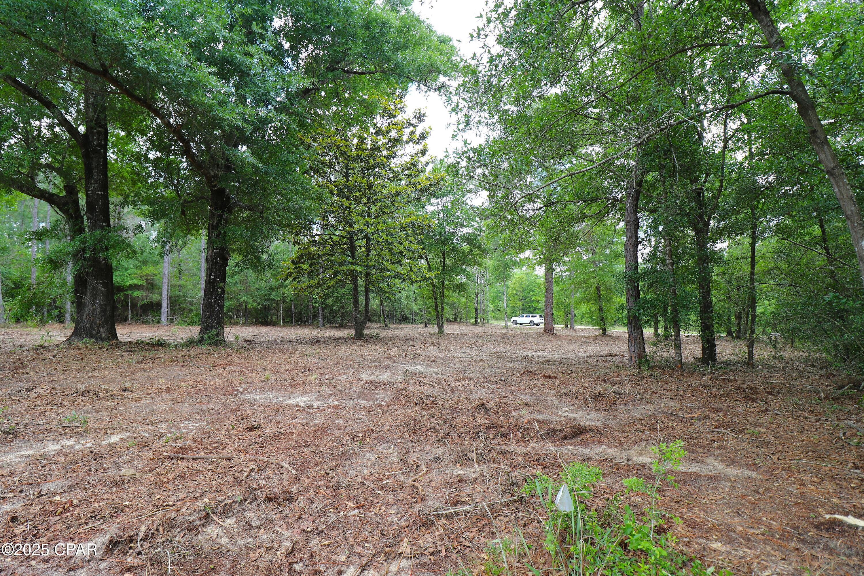Lot 1 Flagler Drive, Chipley, Florida image 14