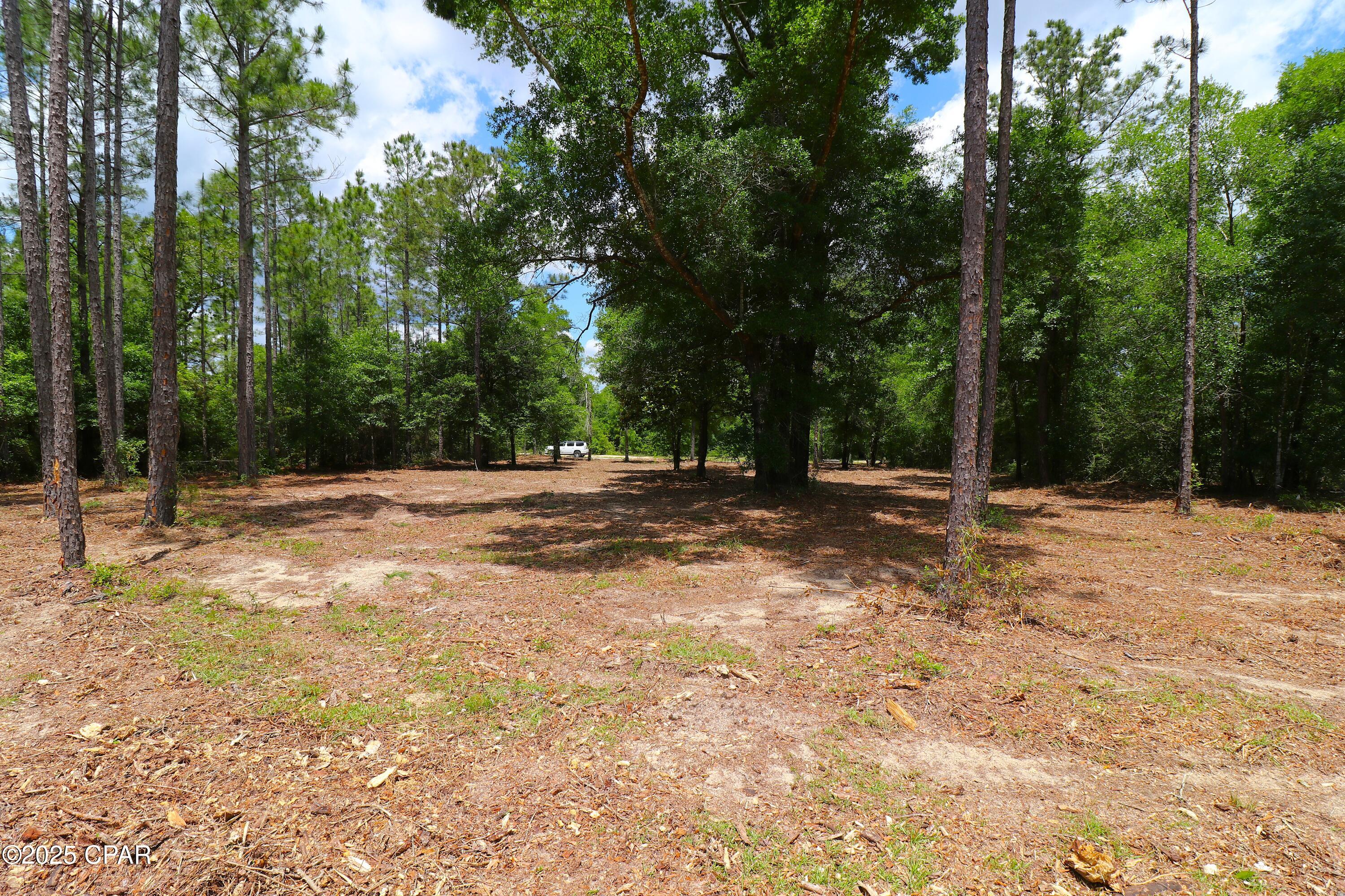 Lot 1 Flagler Drive, Chipley, Florida image 15