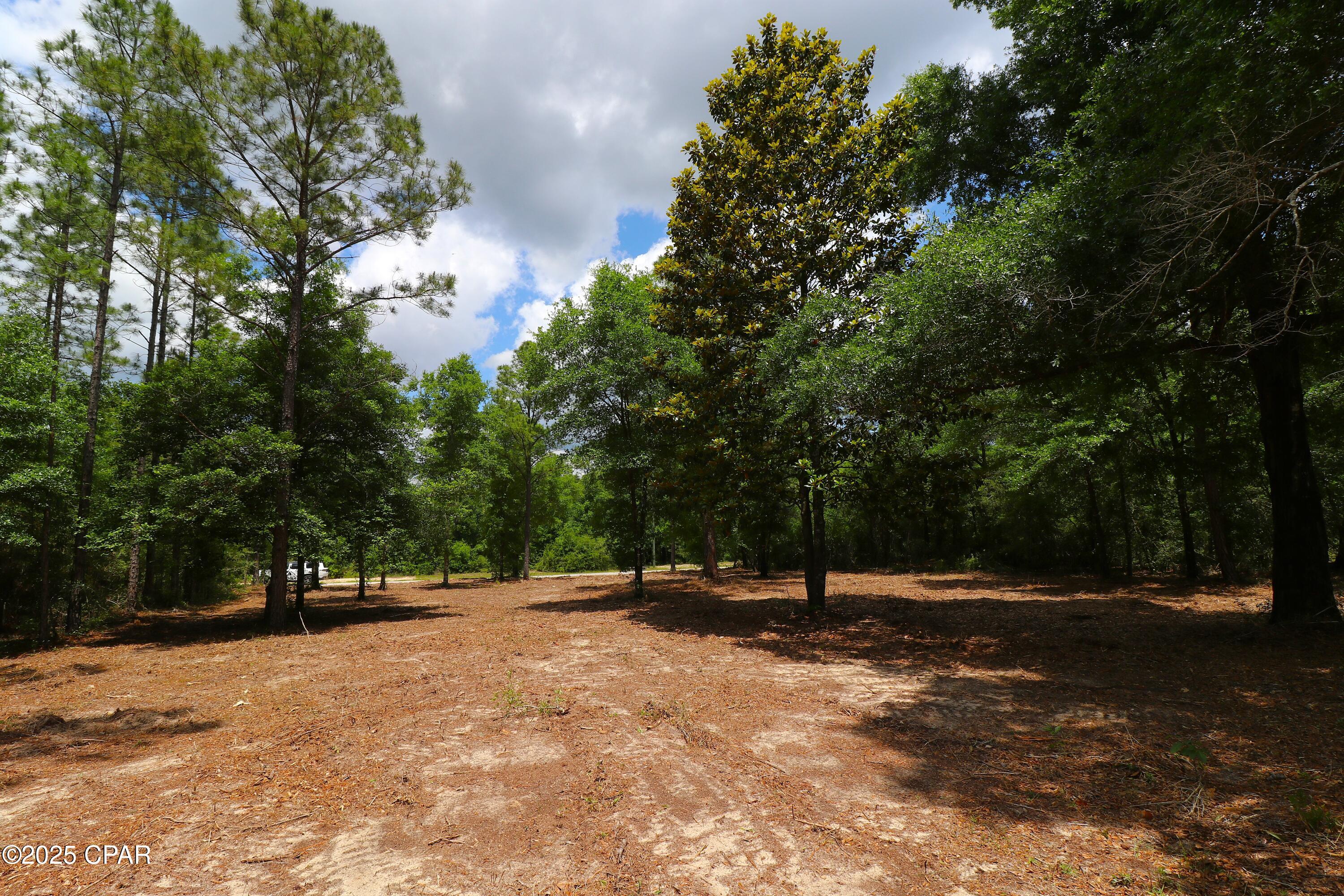 Lot 1 Flagler Drive, Chipley, Florida image 16