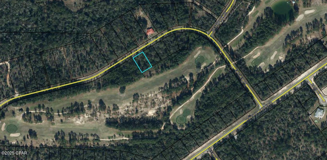 Lot 1 Flagler Drive, Chipley, Florida image 17