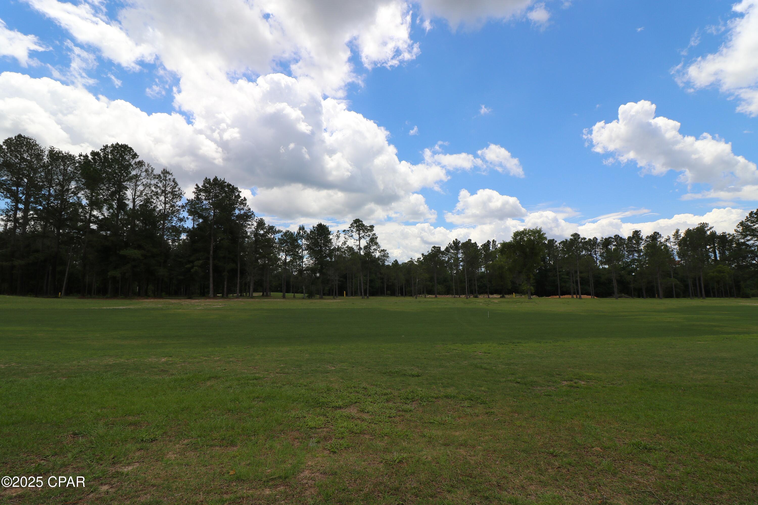 Lot 1 Flagler Drive, Chipley, Florida image 4