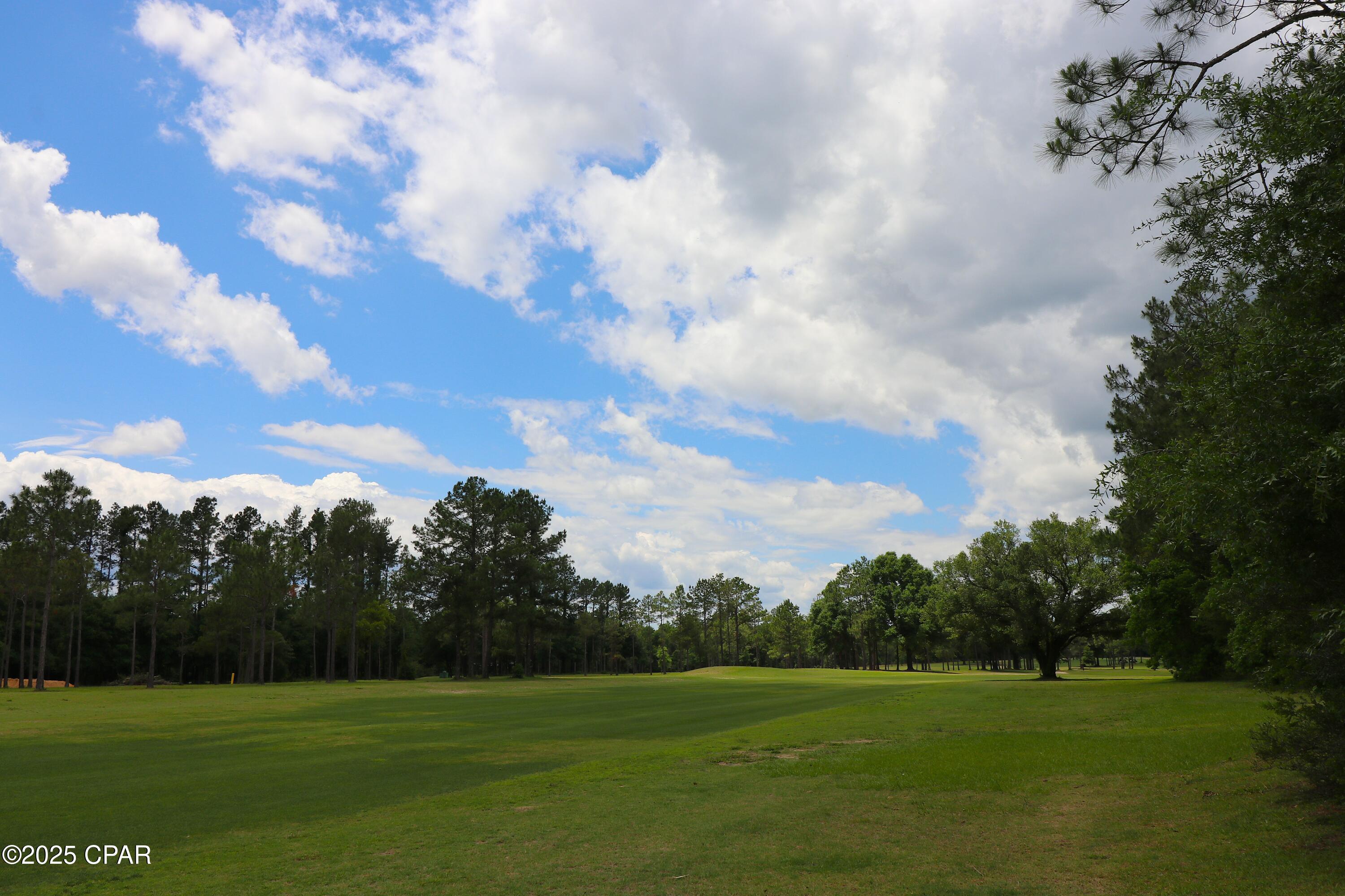 Lot 1 Flagler Drive, Chipley, Florida image 6