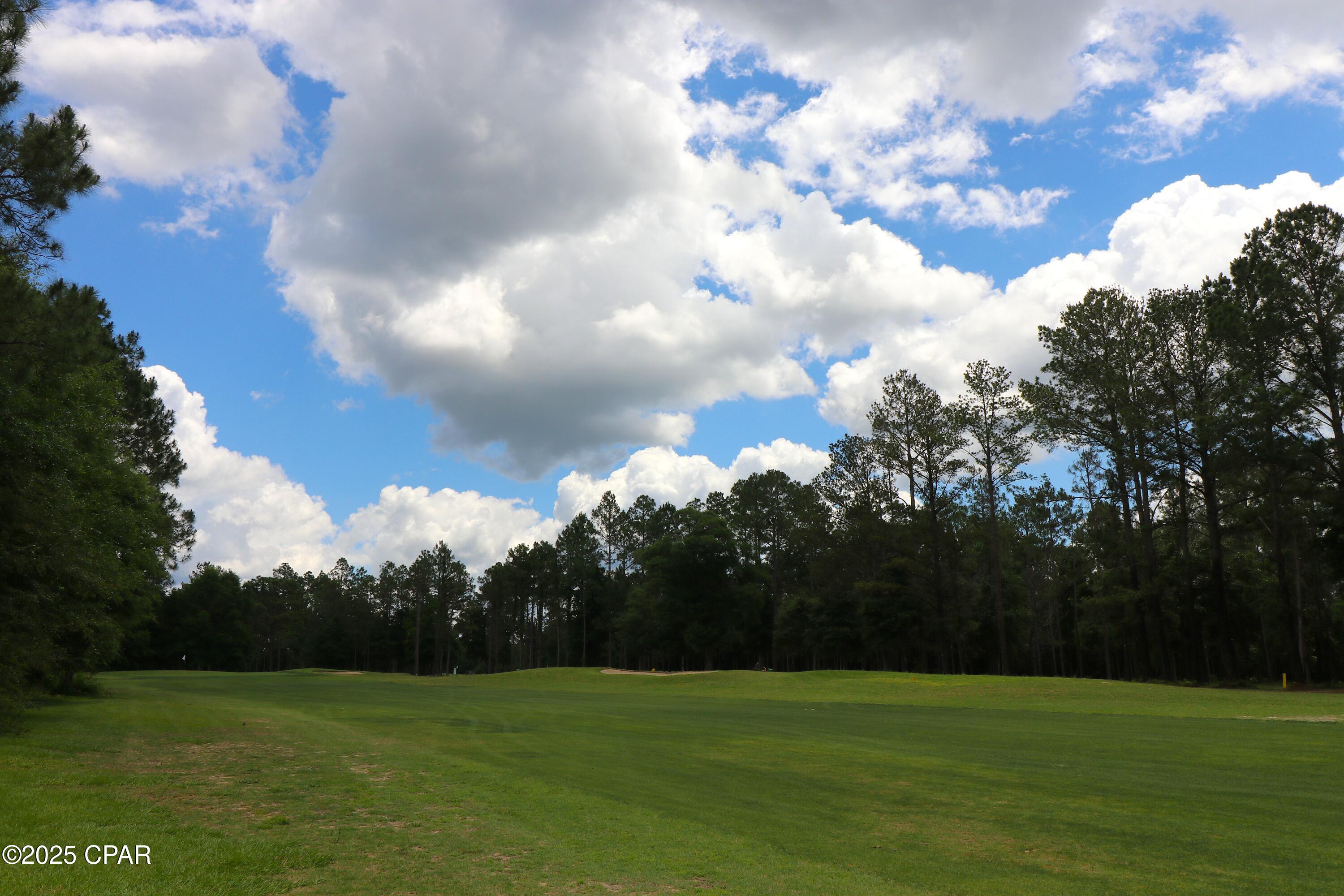 Lot 1 Flagler Drive, Chipley, Florida image 7