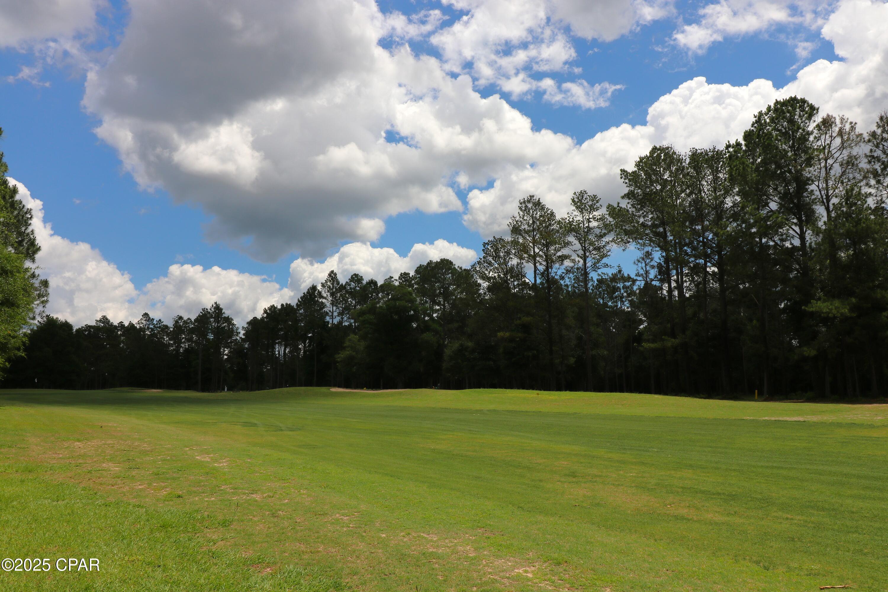 Lot 1 Flagler Drive, Chipley, Florida image 8