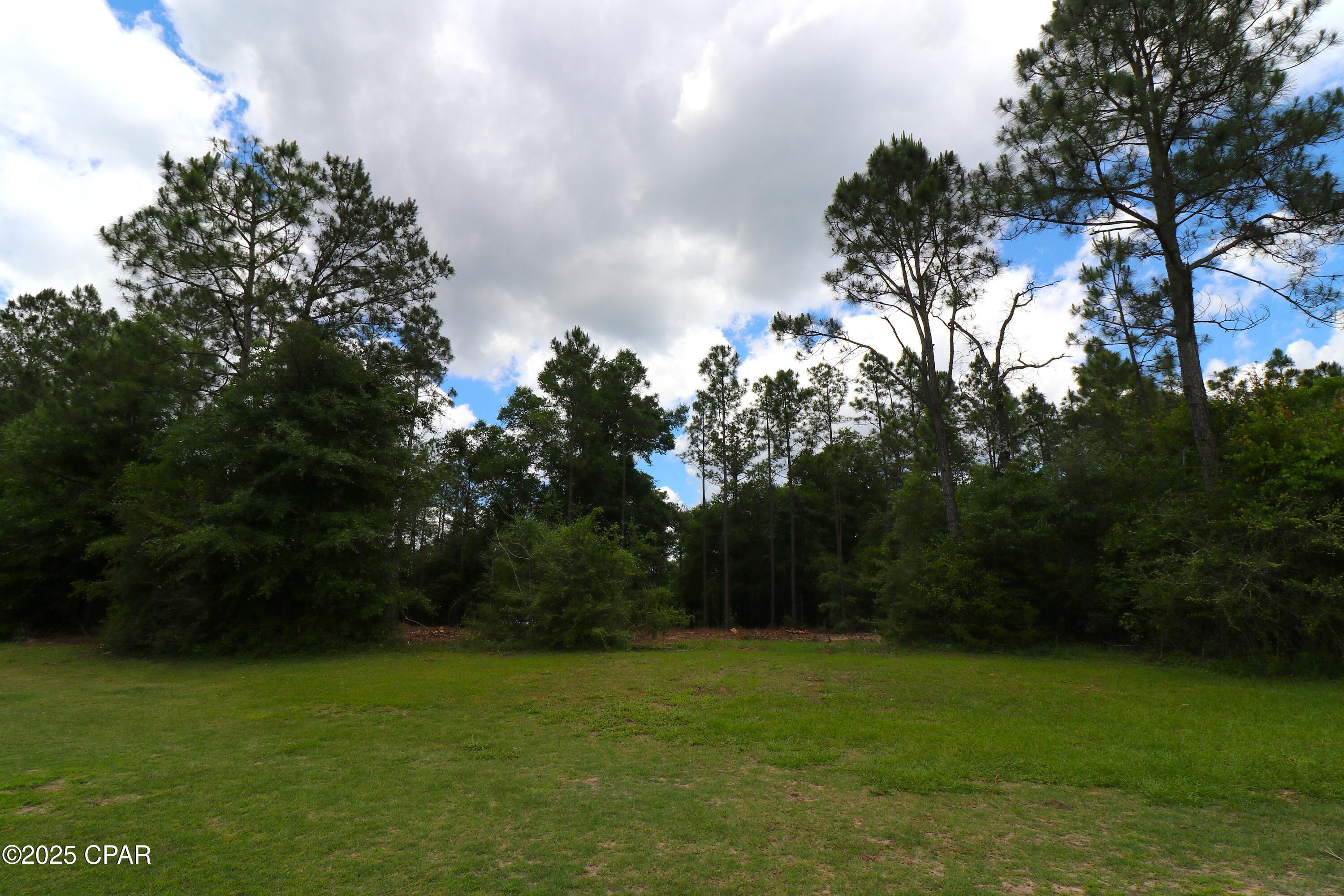 Lot 1 Flagler Drive, Chipley, Florida image 9