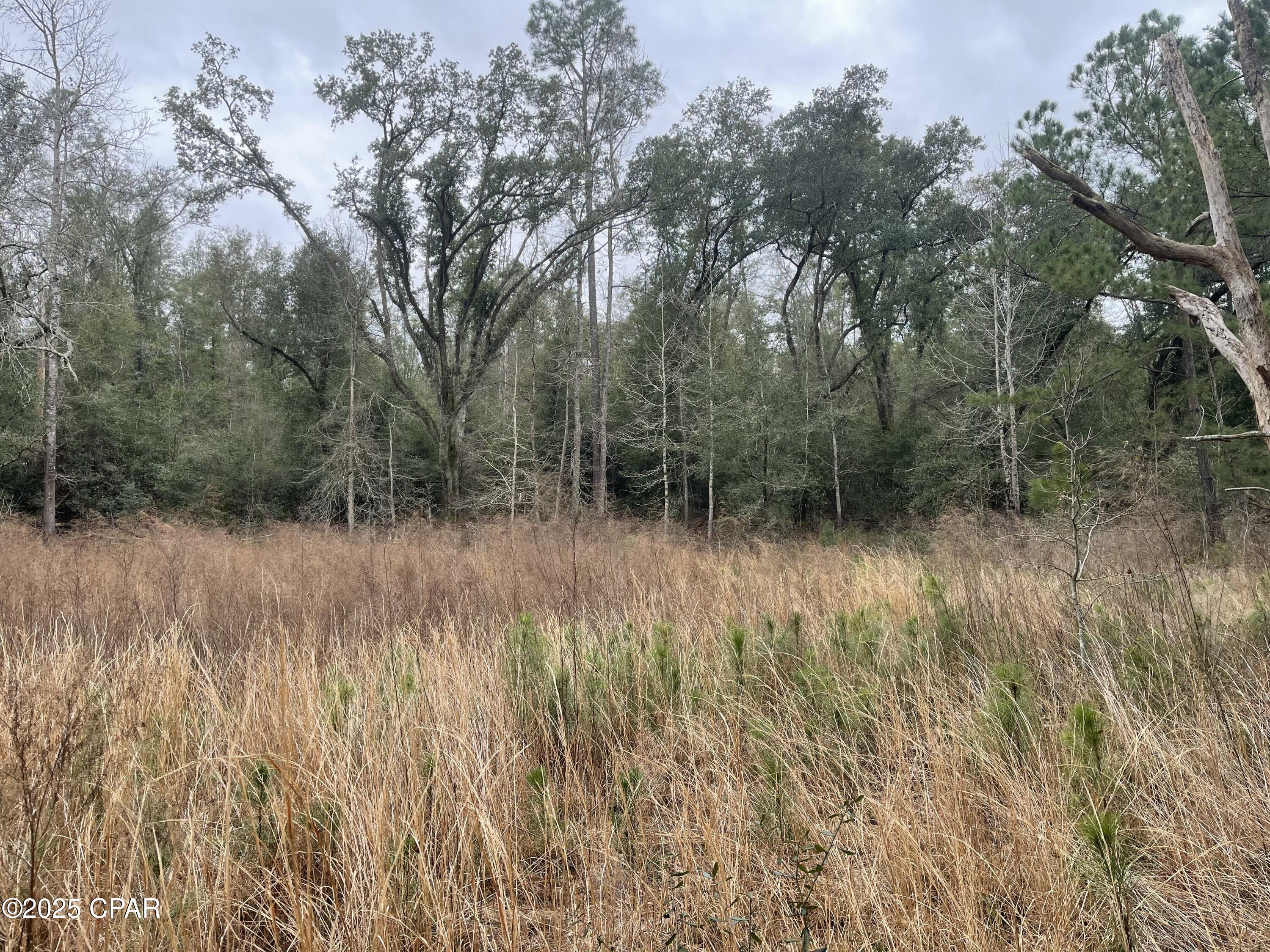 Image 7 For 3340 Varsey Lane
