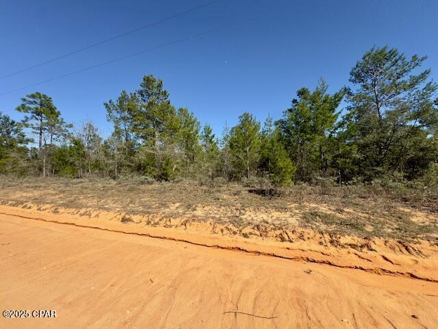 3139 Tumble Creek Boulevard, Chipley, Florida image 3