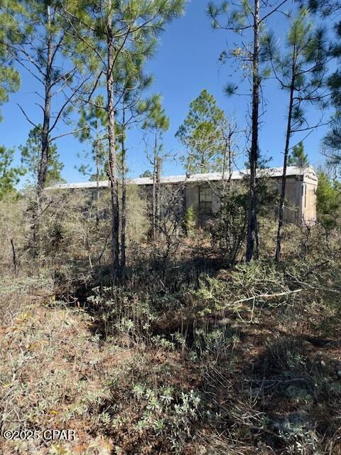 Image 7 For 3139 Tumble Creek Boulevard