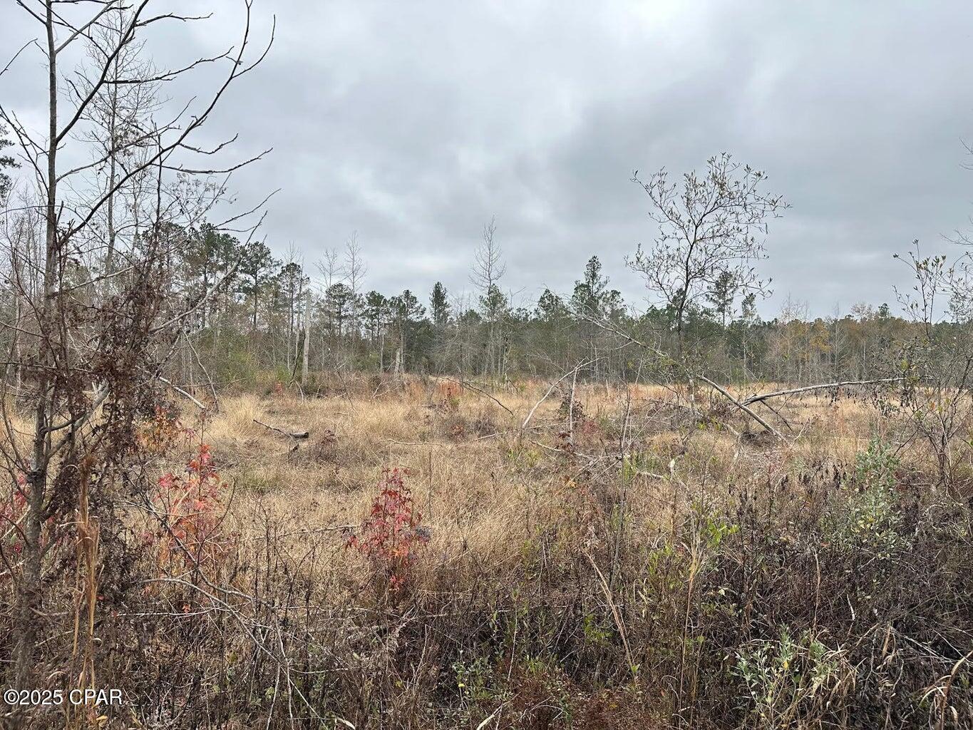 Image 2 For Tract#6402 N Chance Road